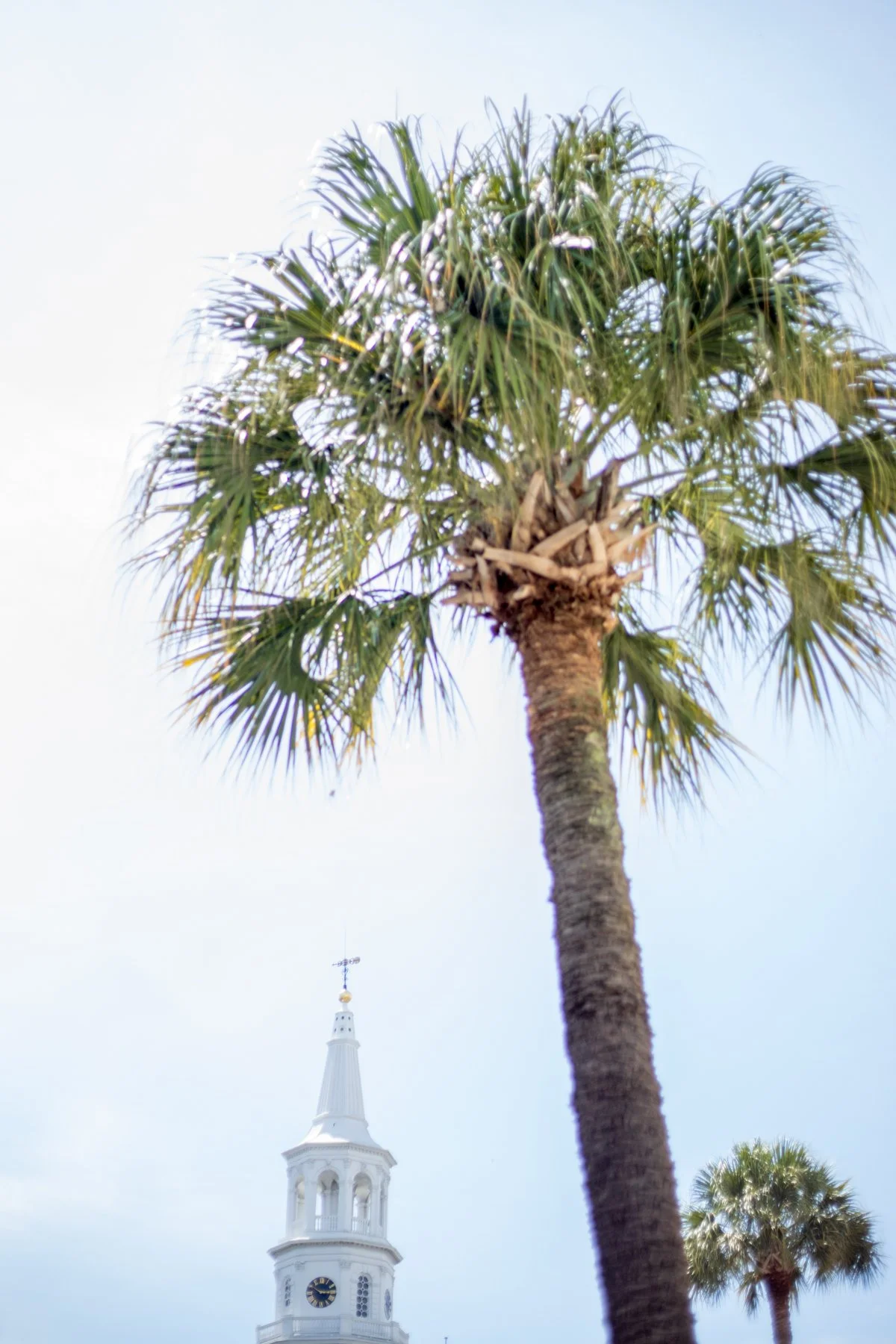 Our Charleston Favorites
