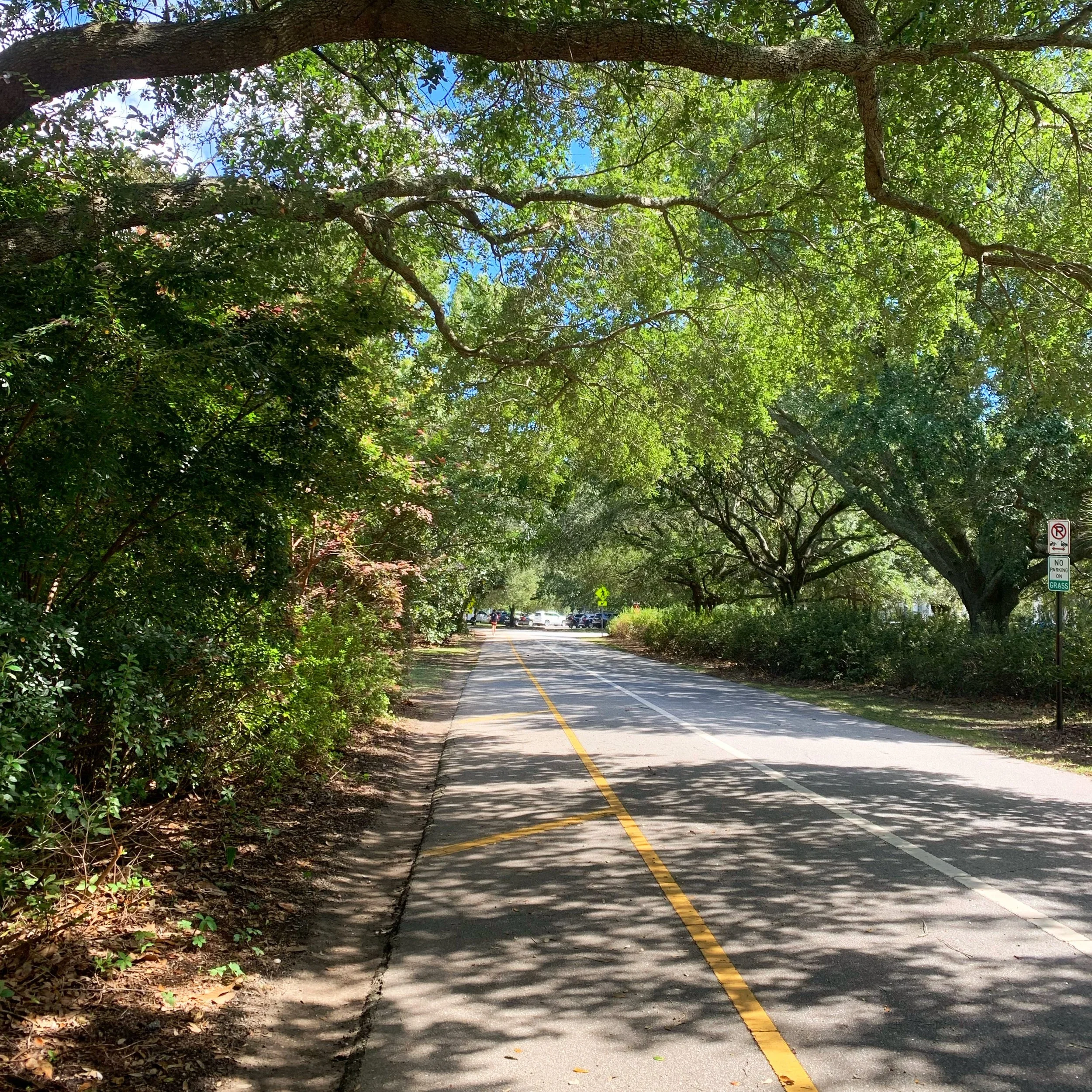 Let’s take a run