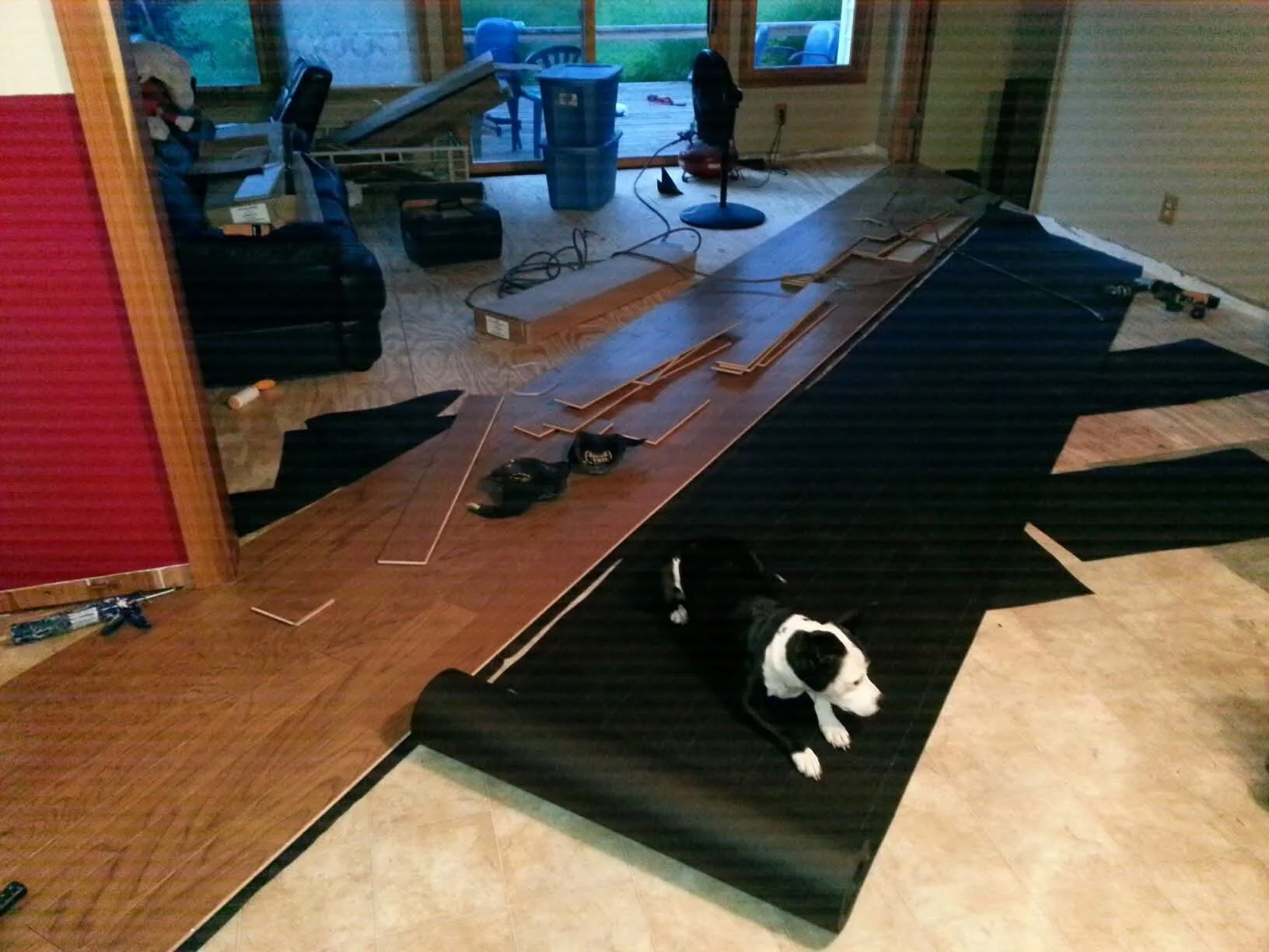 FB_IMG_1752617236979.jpg