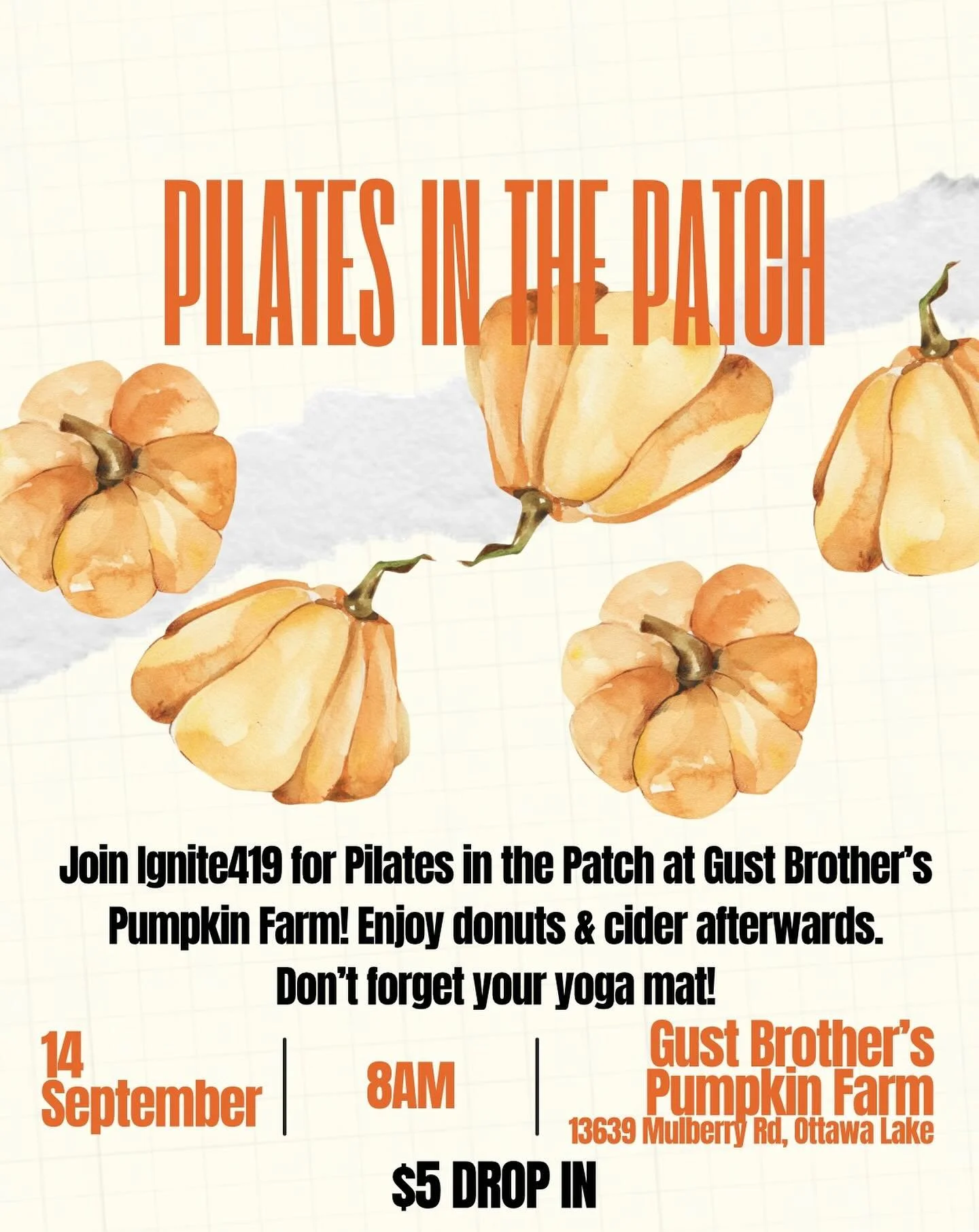 &lsquo;Tis the season of FALLLL🧡🎃Join us at Pilates in the Patch at Gust Brothers Farm on September 14 @8AM. donuts &amp; cider will be provided after class!!!!! $5 drop in &amp; bring your mat!! sign up on our app or mindbody!!!!!