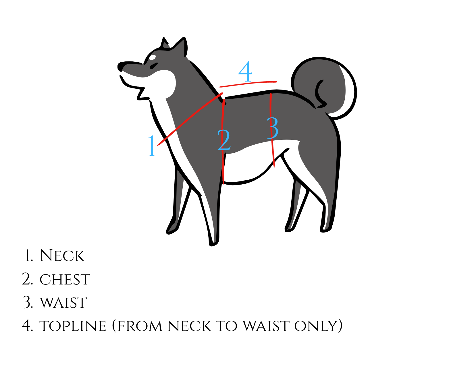 dog harness.png