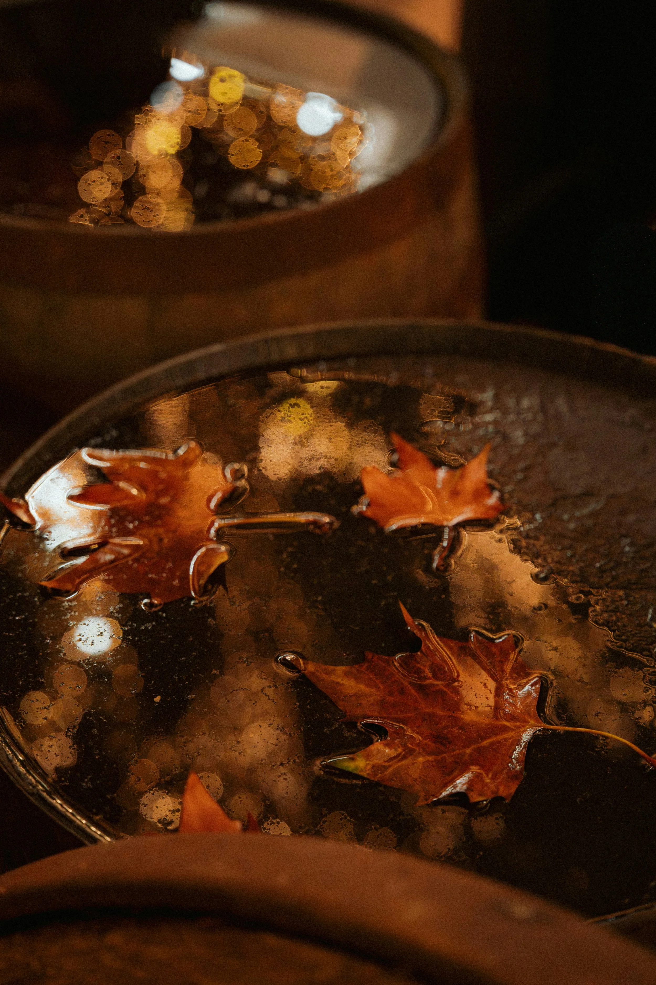 Autumnal Resonance: A Sound Journey