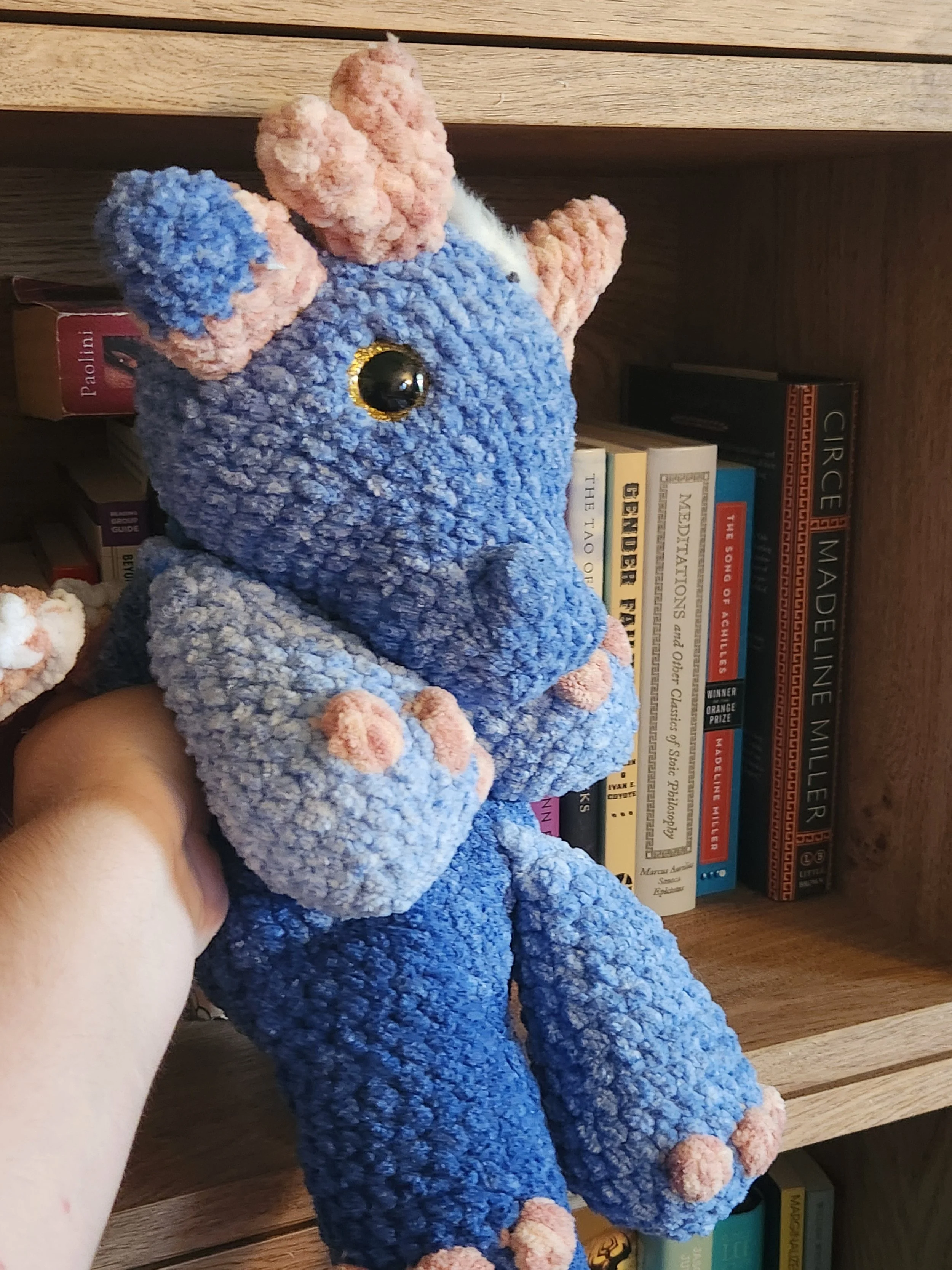 Dragon Snuggler