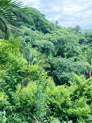 Sayulita+-+Resort+5.webp