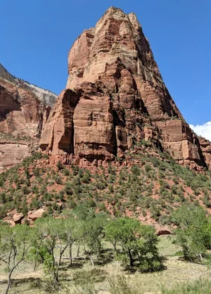 IMG_20180906_141747_1.webp