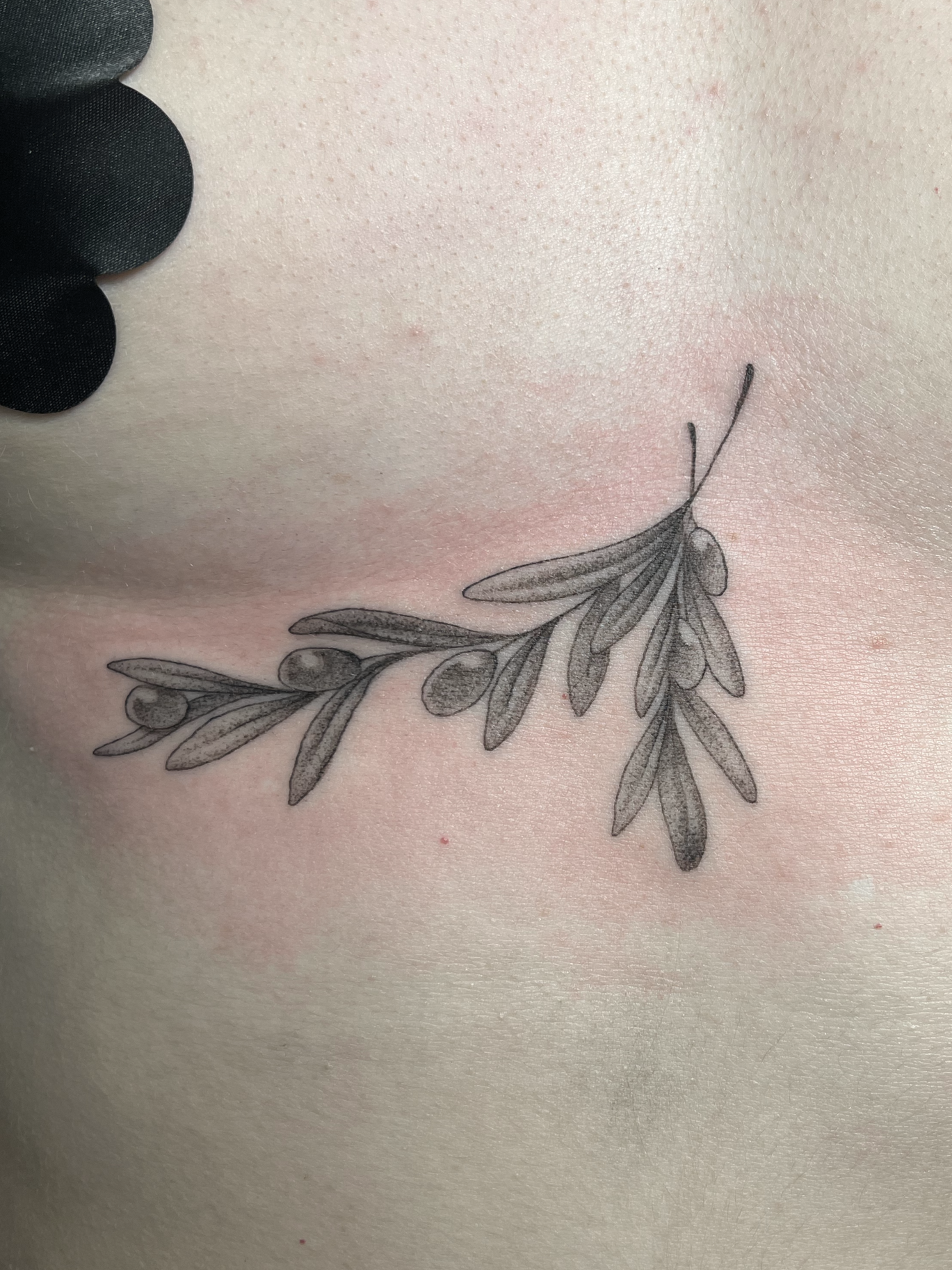 A black and gray botanical tattoo of a leafy branch with small berries on light skin.