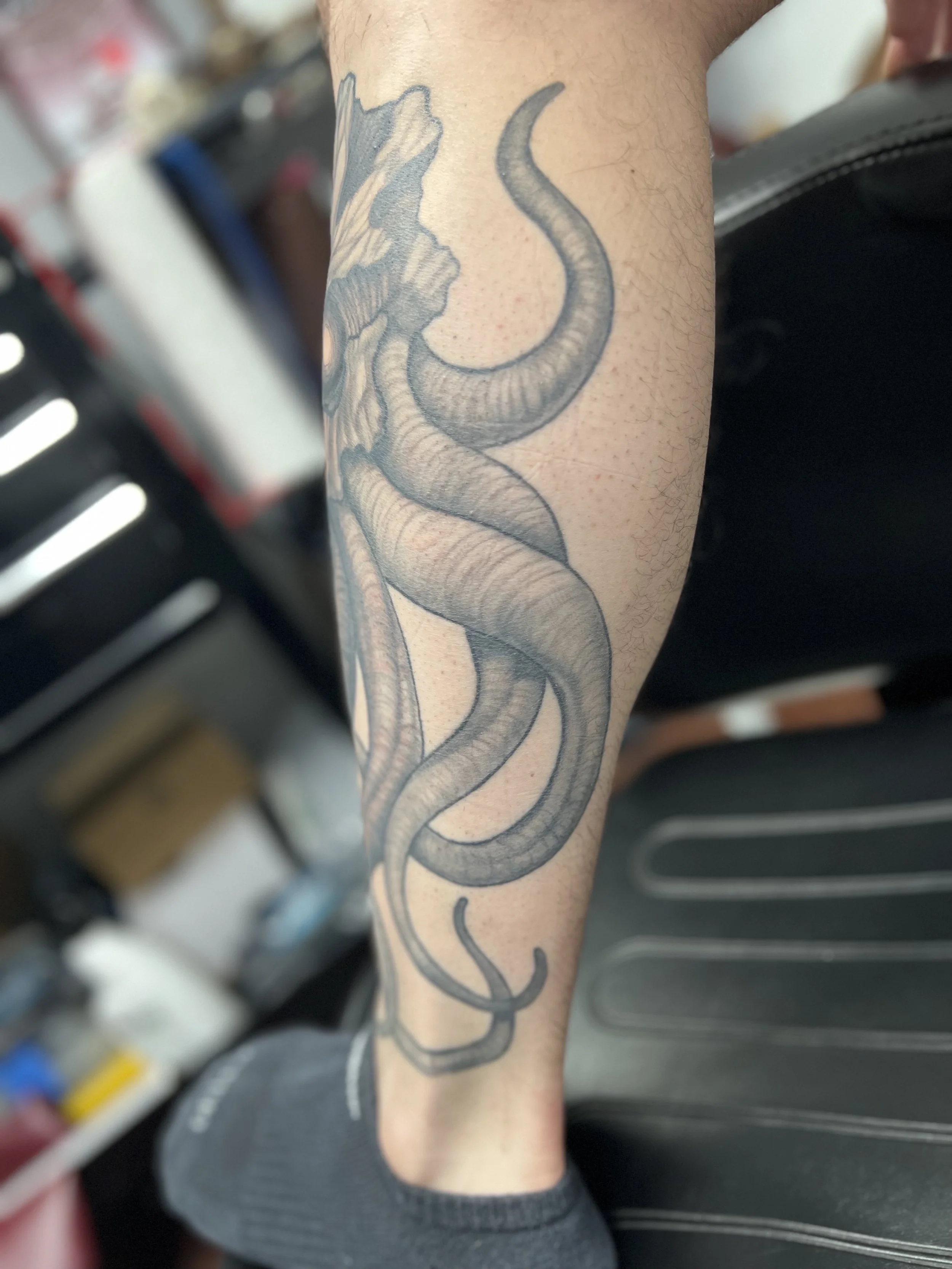 Black and gray octopus tattoo on person's forearm with detailed tentacles.