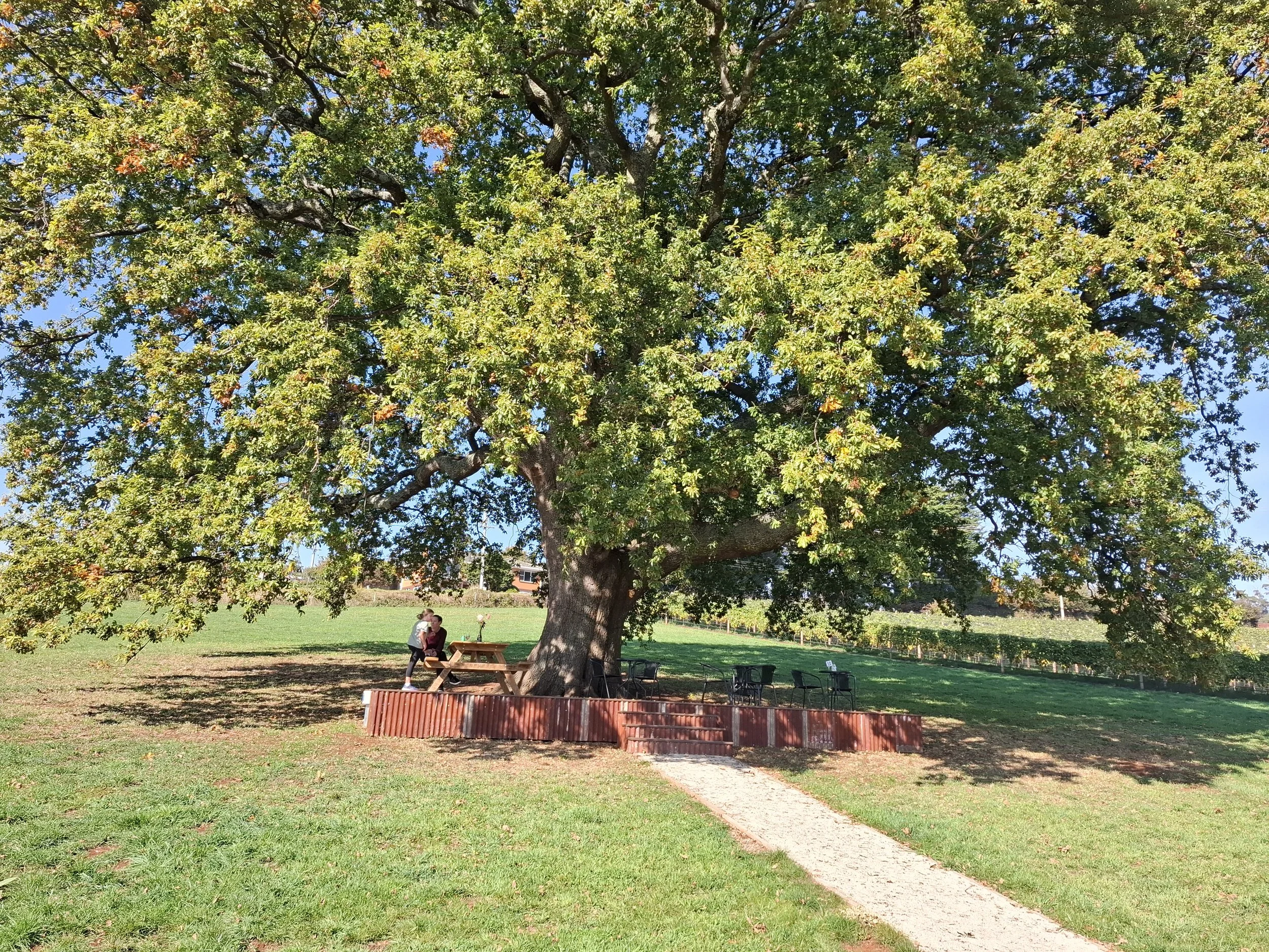 20260425_124158.jpg