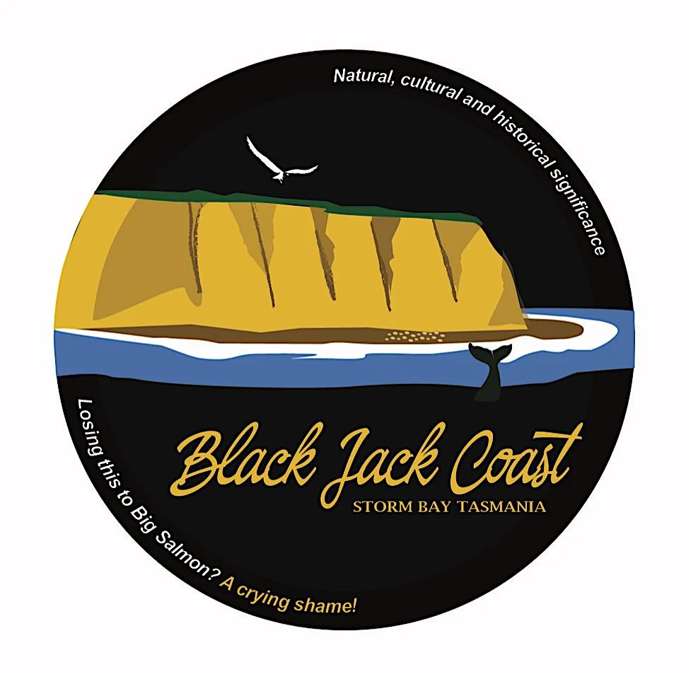 The Black Jack Project