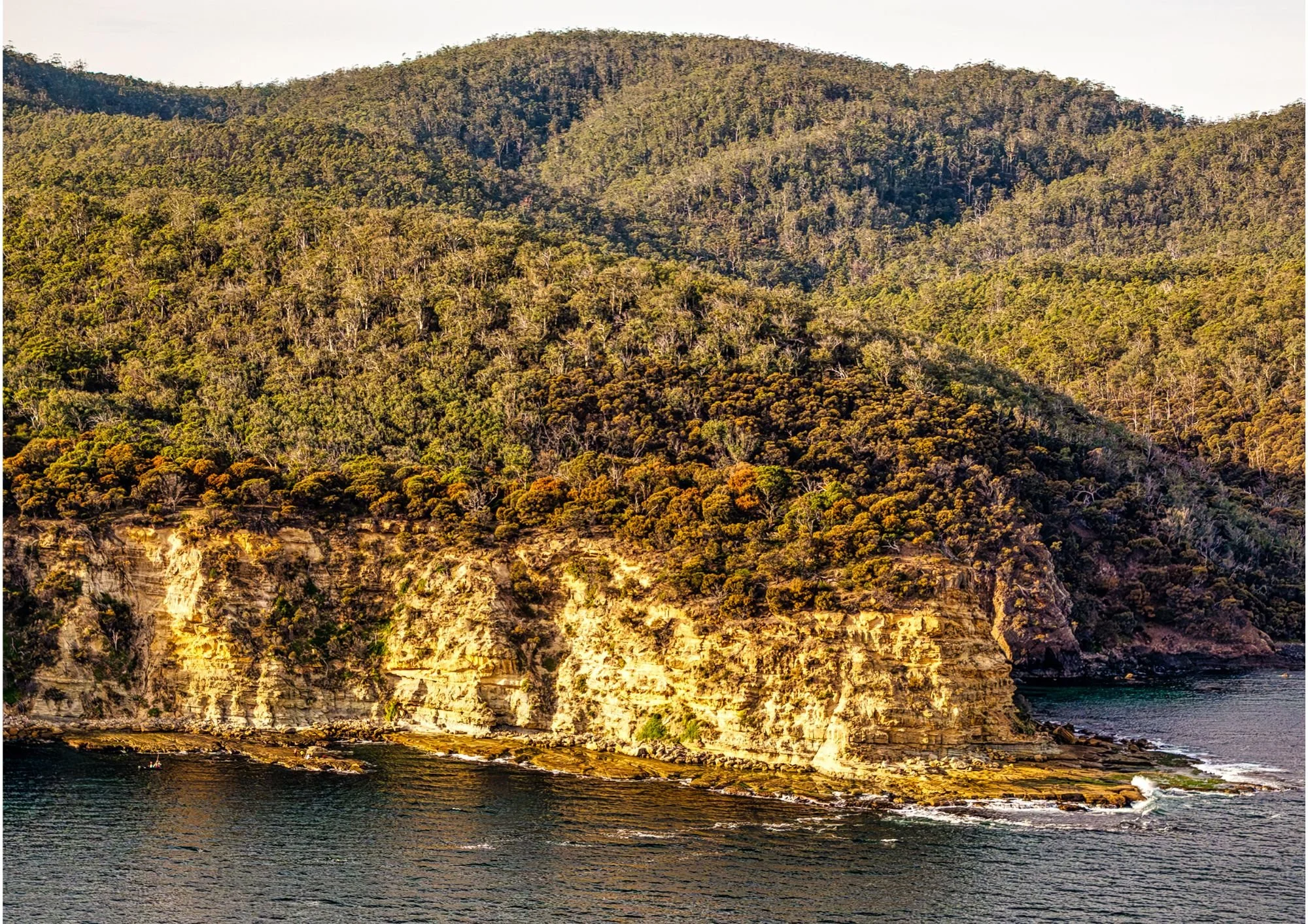 The other Yellow Bluff.jpg