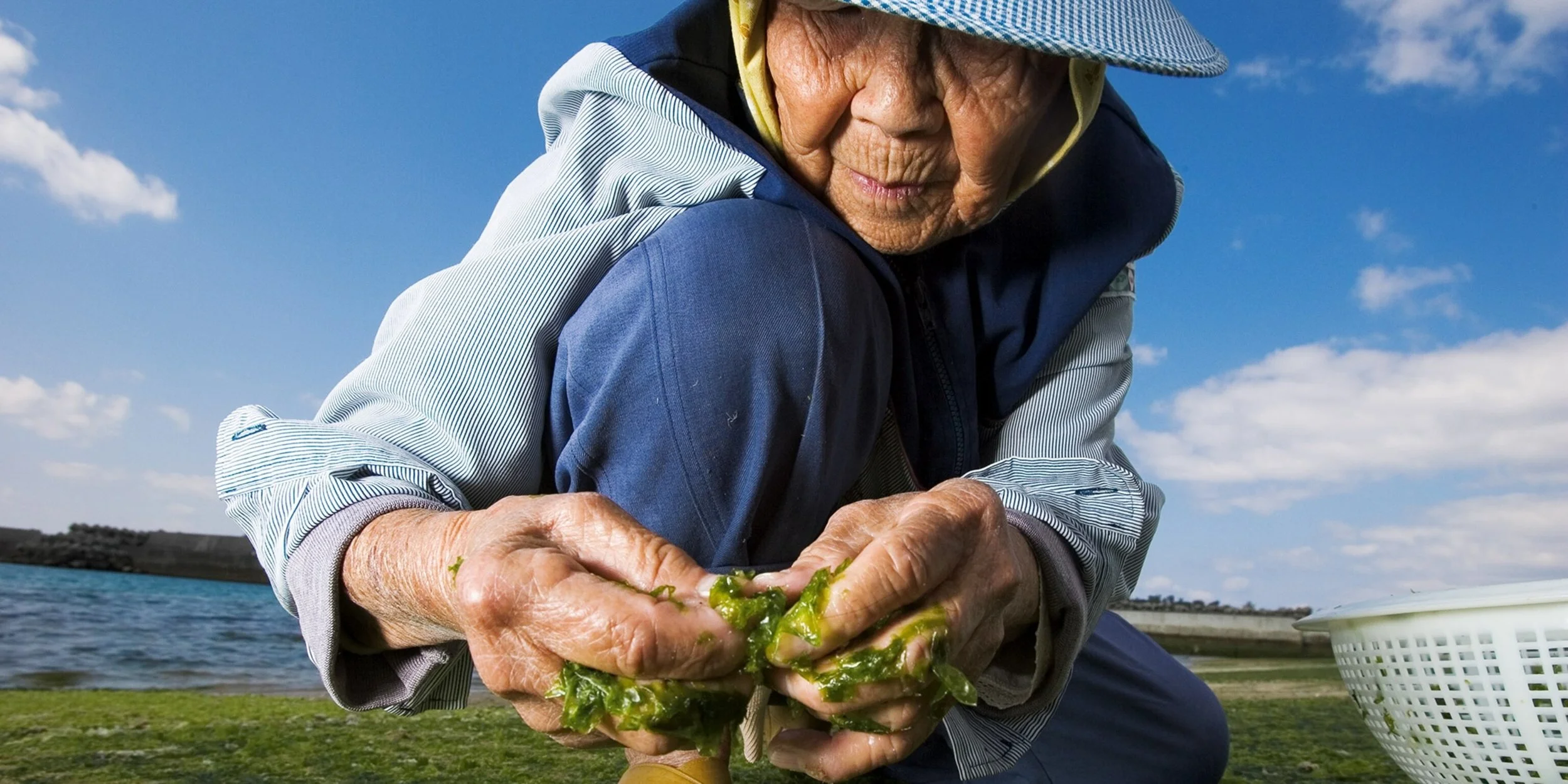 Unlocking Longevity: Embracing the Blue Zones Lifestyle for a Healthier Tomorrow