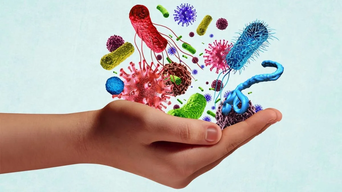 Why Women Are More Prone to Autoimmune Diseases - And What You Can Do About It