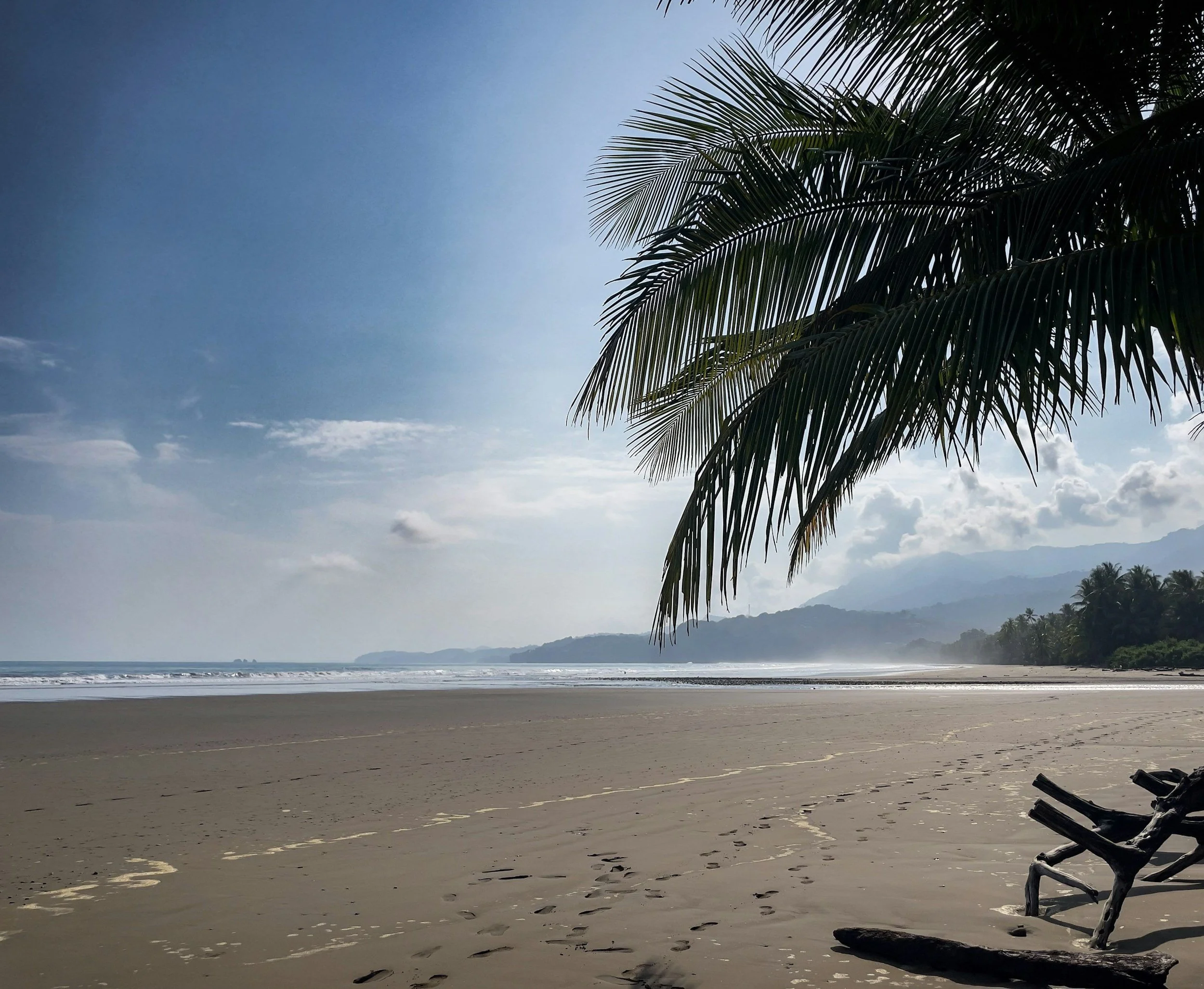 A calm beach scene with a palm tree in the foreground, ocean waves in the middle ground, and mountains in the background, under a partly cloudy sky.