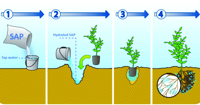 Superabsorbent polymer