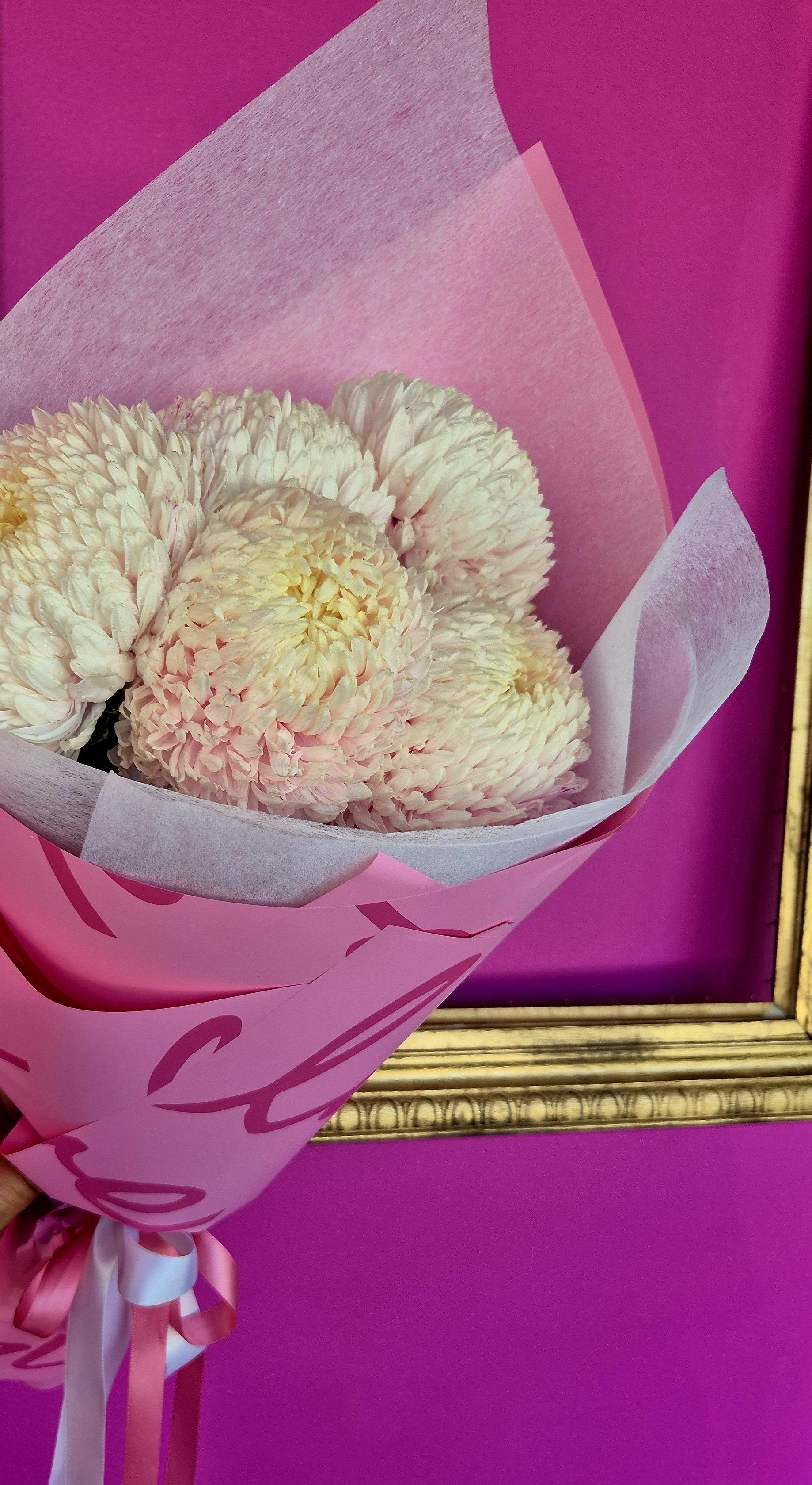 Traditional Chrysanthemums