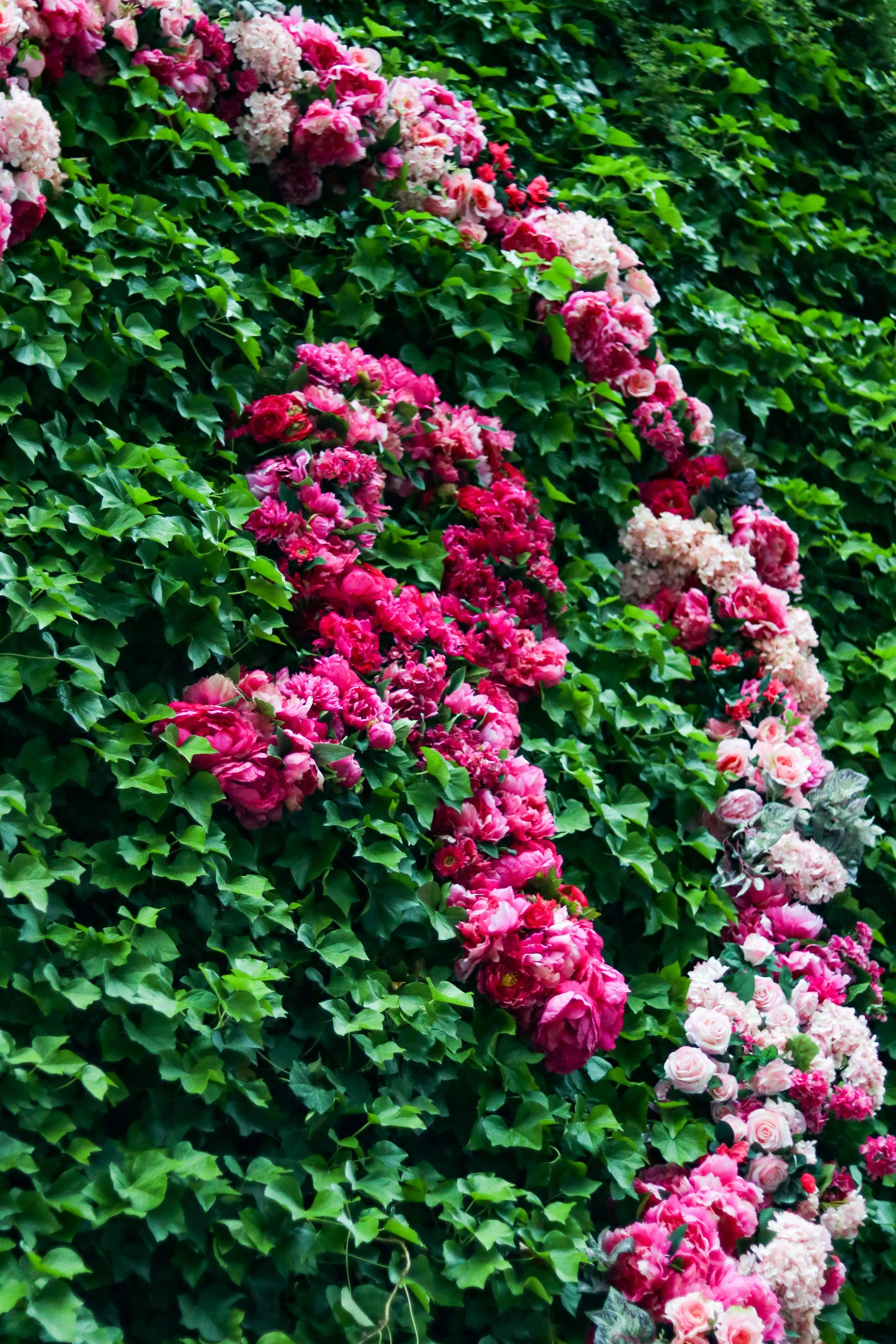 The Silent Link Between Climate Change and Breast Cancer: Why It’s Time We Paid Attention