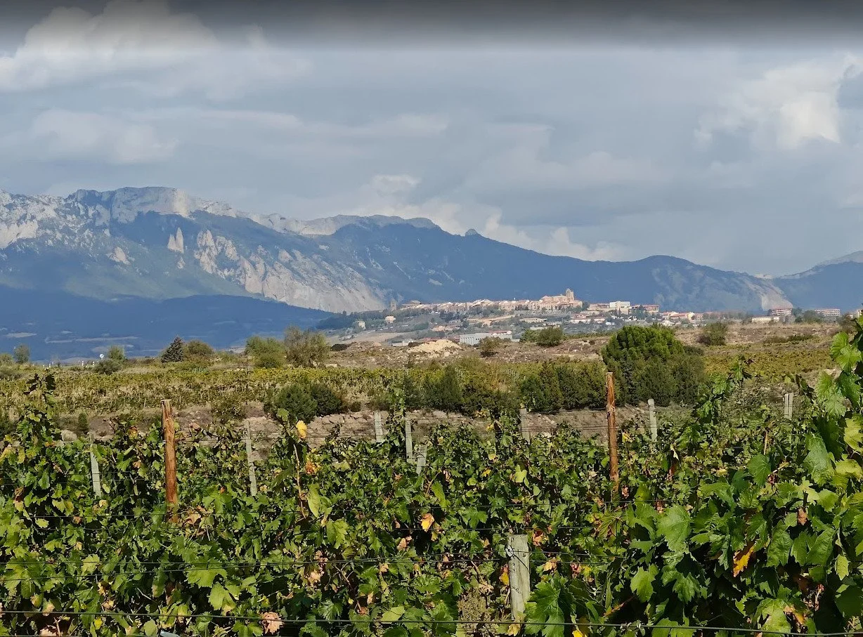 Magic of Rioja Wine Region & The Basque Country