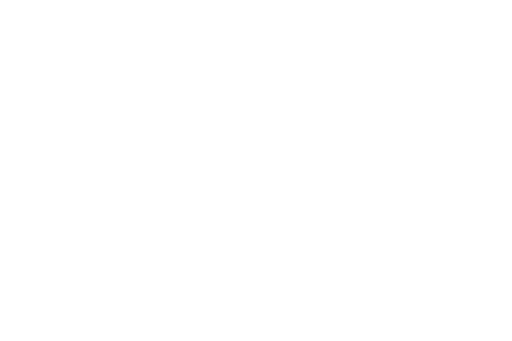 Wits Art Museum.png
