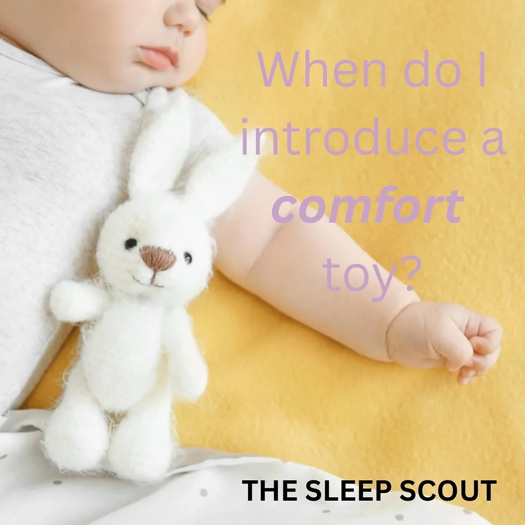 A comfort toy can be a great addition to your little one&rsquo;s sleep space and it can help with settling and separation anxiety. 
For safety you should not introduce a comfort toy before 7 months. Most countries actually recommend 12 months + so if