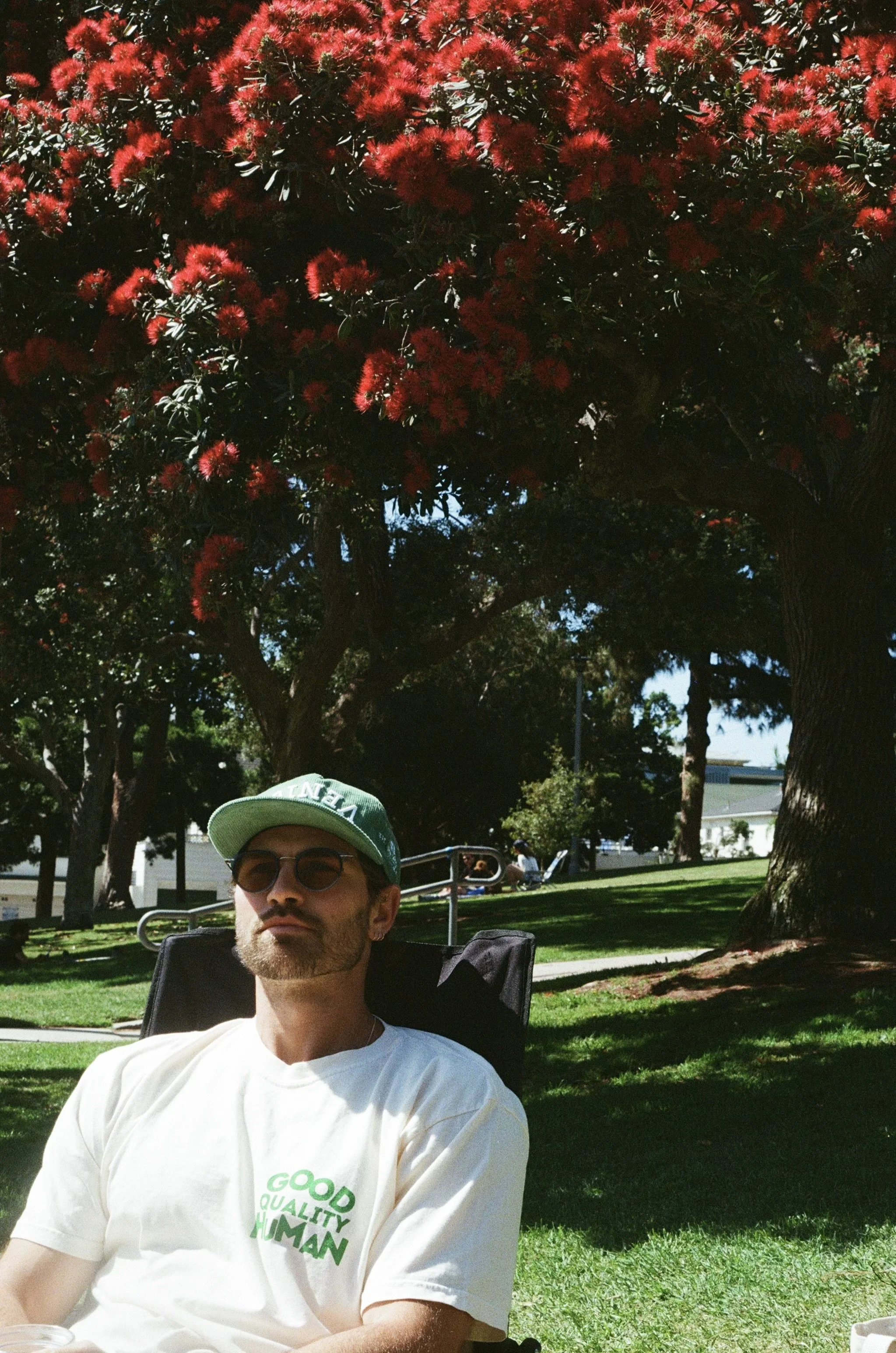What My Own Breath Is Teaching Me
