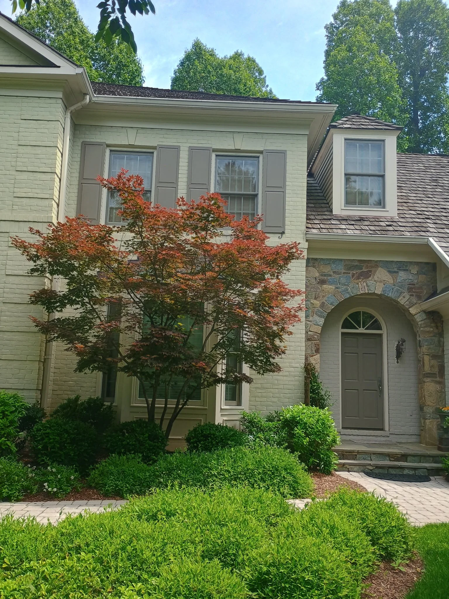 2484293524253464505 2.JPG