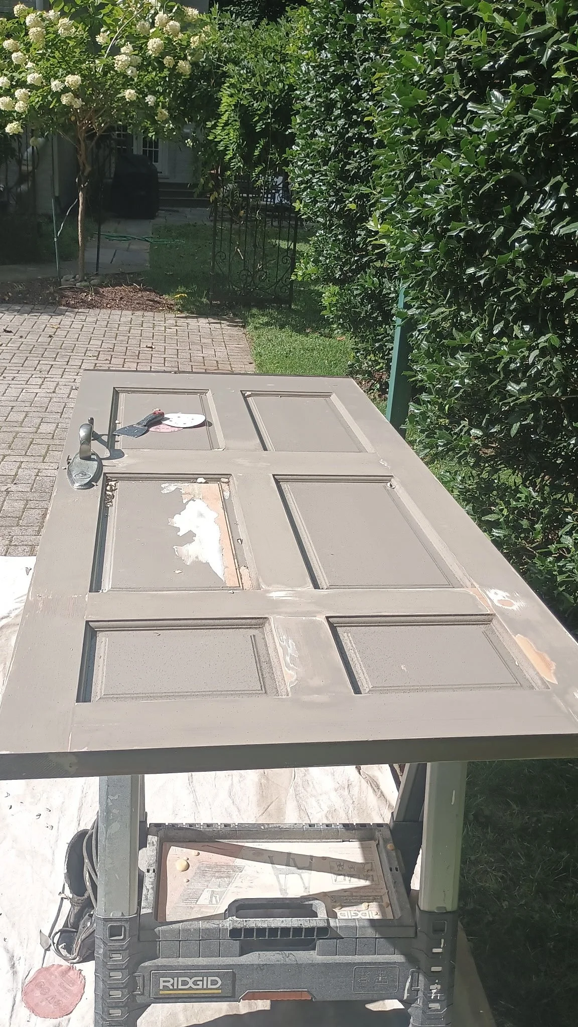 423133876044529691 2.JPG