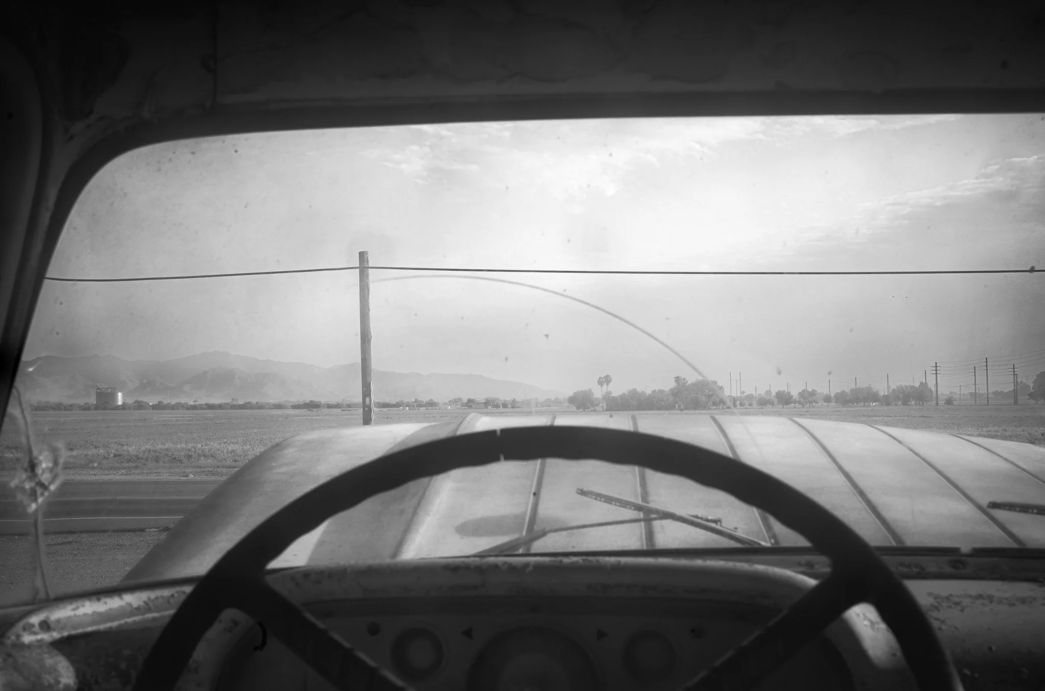 L1007974.jpg