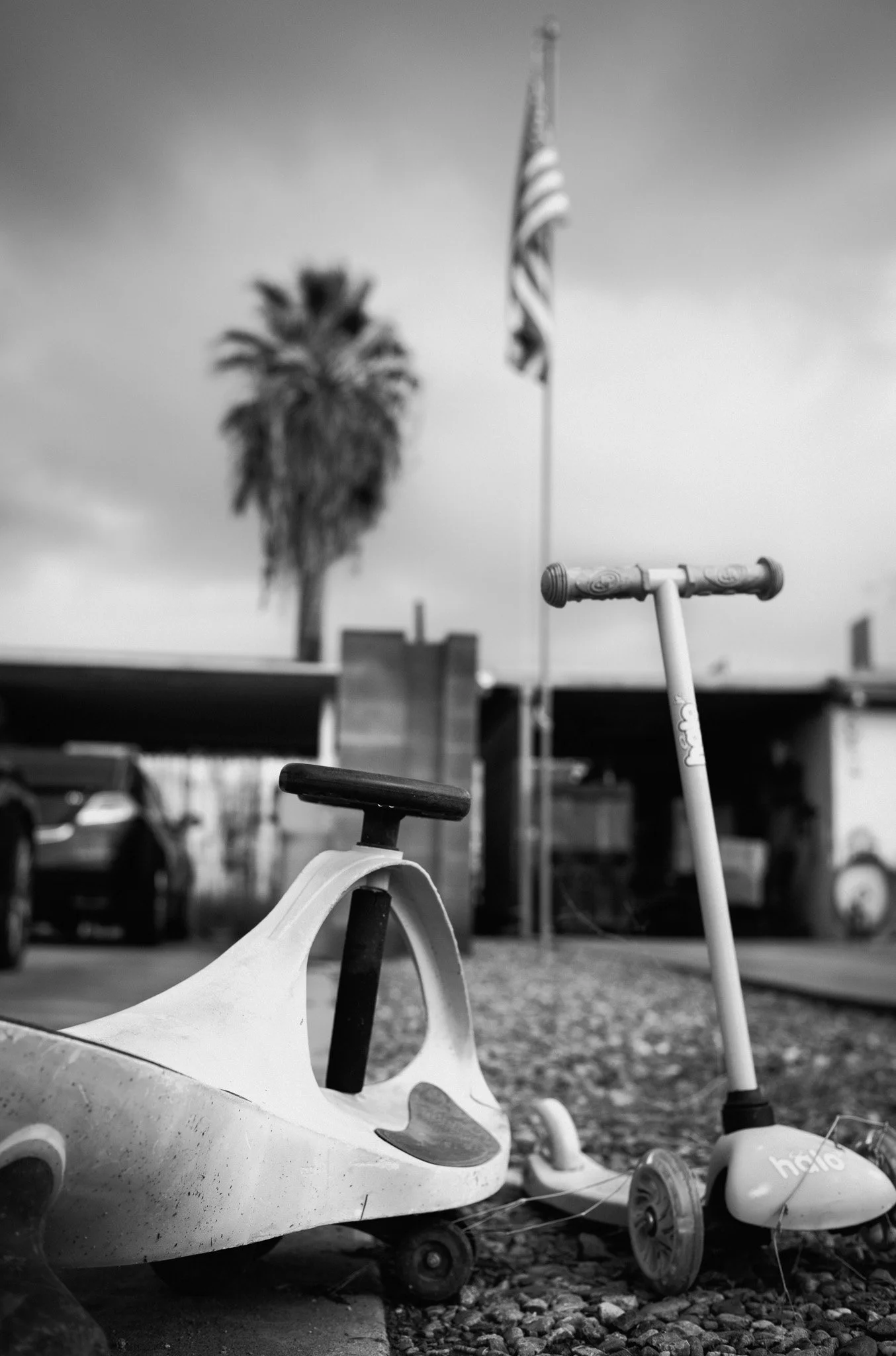 L1000144.jpg