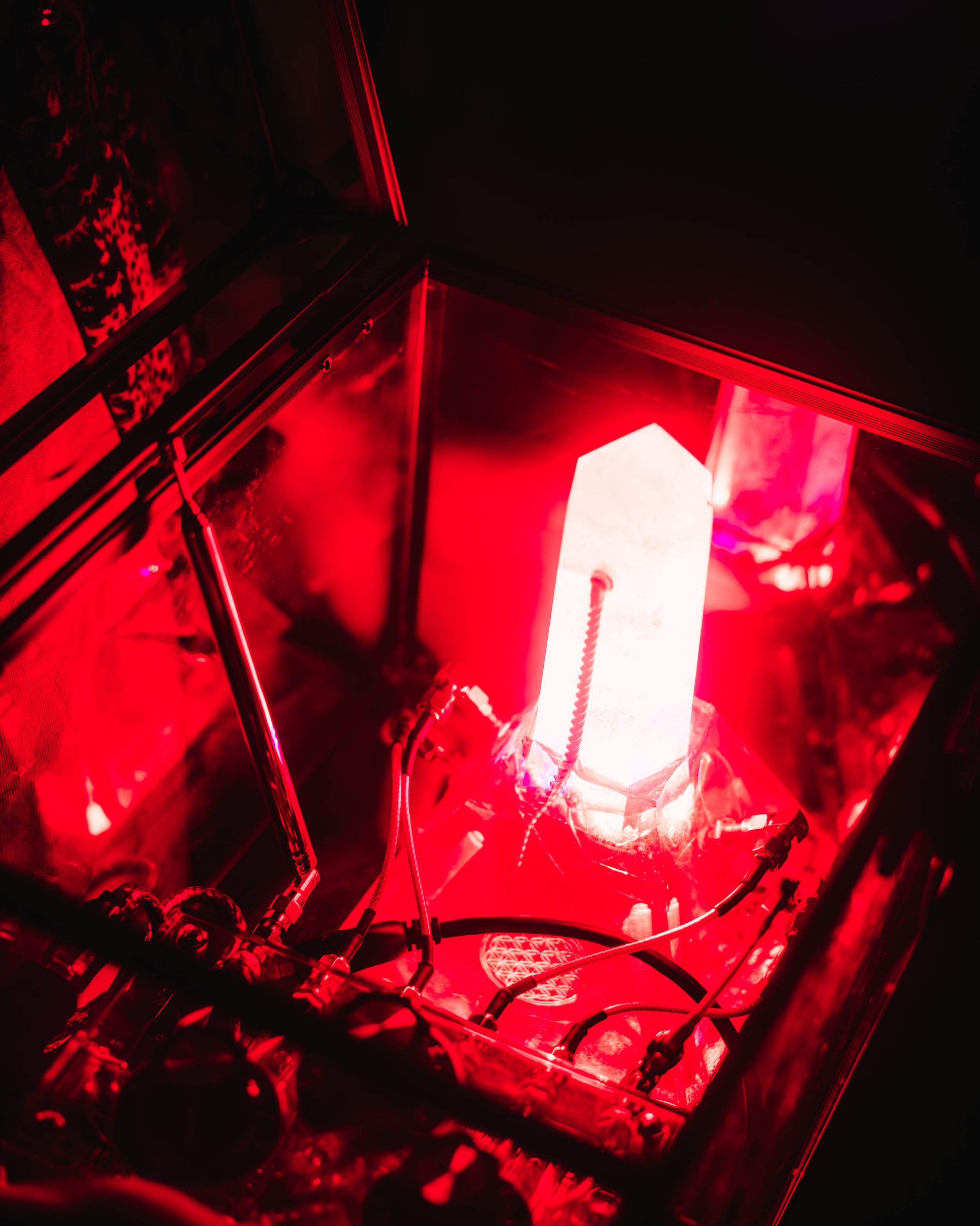 66-_DSC5763.jpg