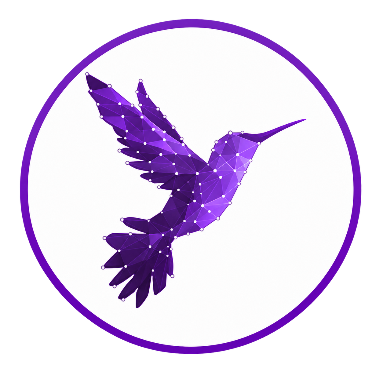 Live Studius Initiative