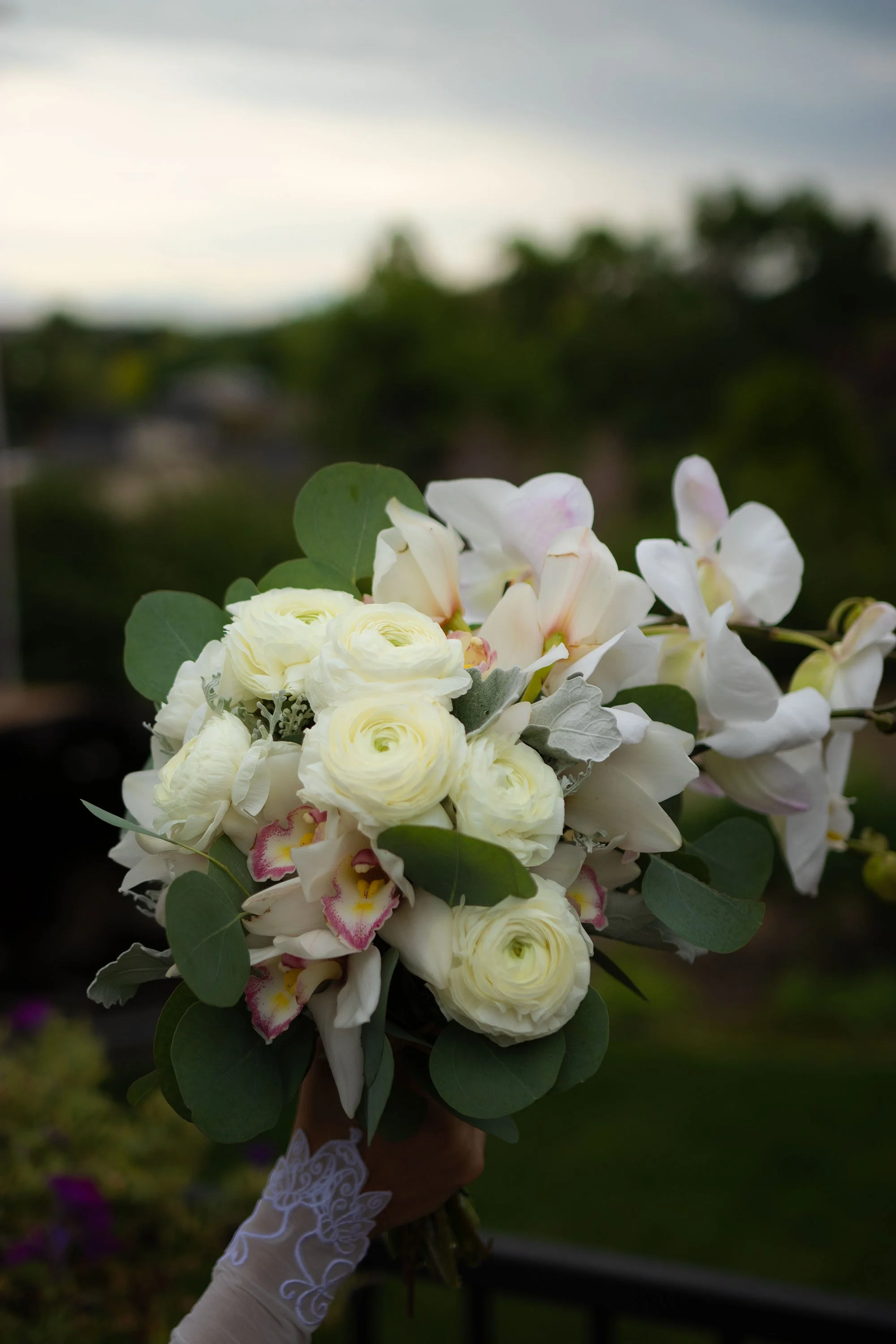 IMG_8145.jpg