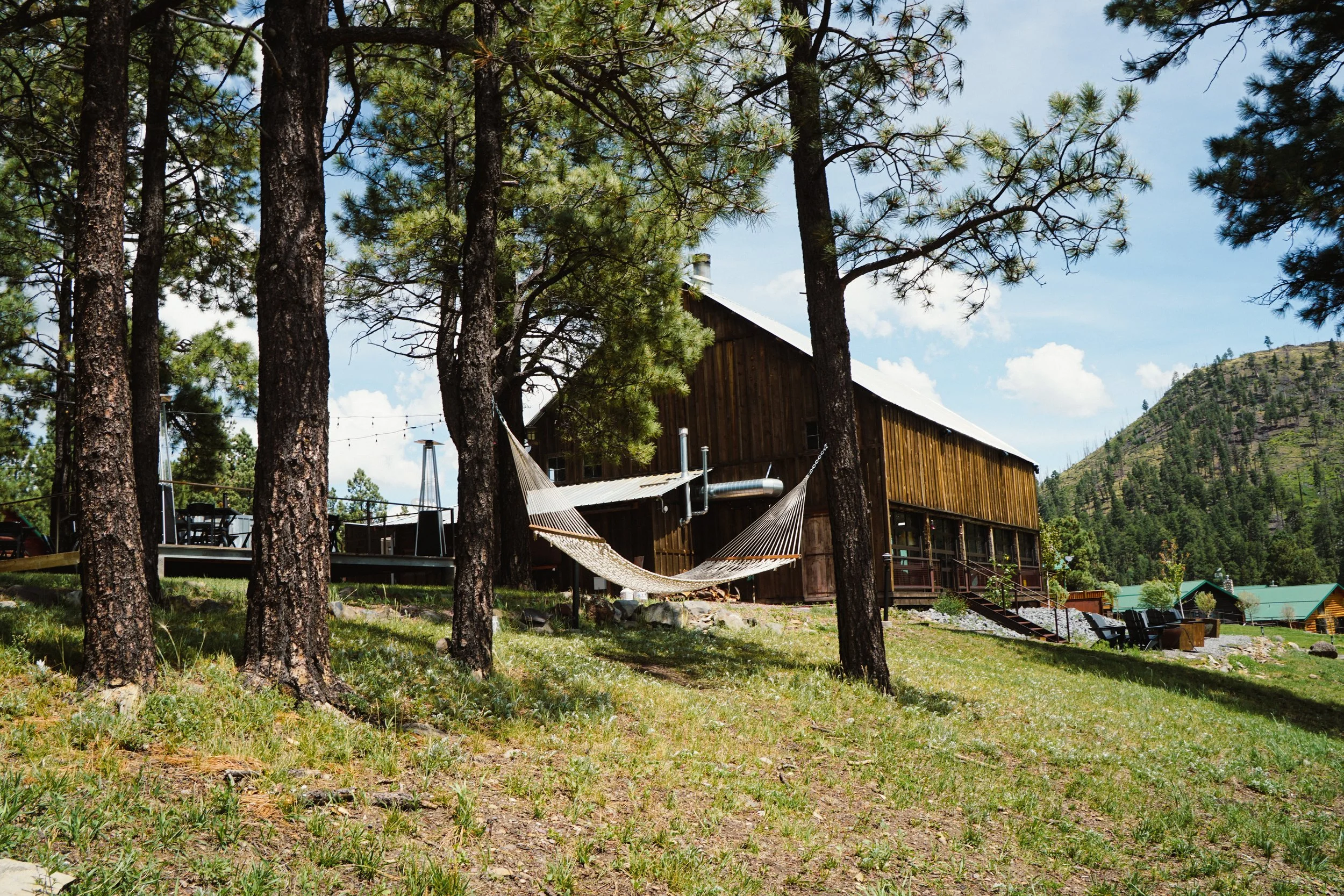 L15.jpg