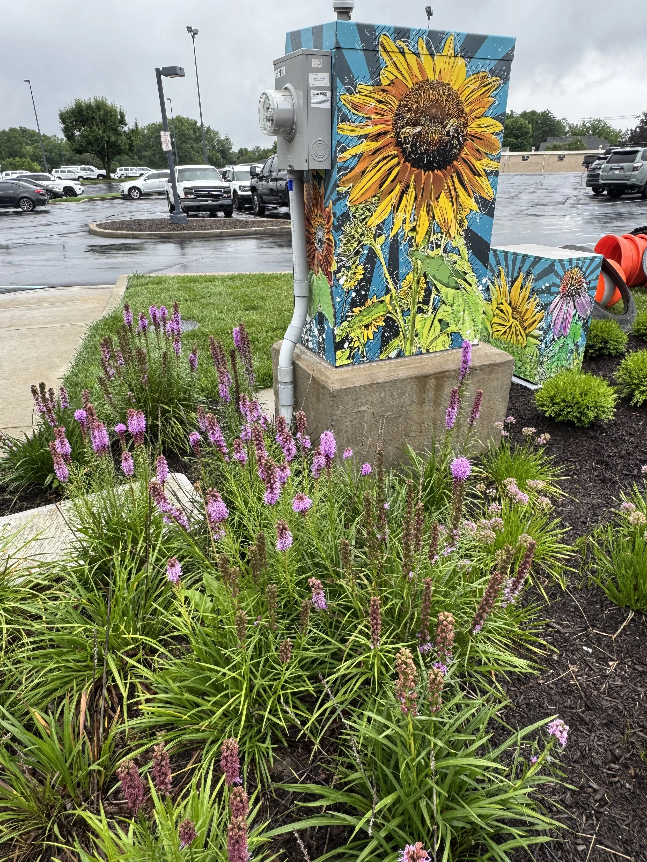 Colorful street art mural of sunflowers painted on a utility box adjacent to a parking lot with wet asphalt and parked cars, during cloudy weather.