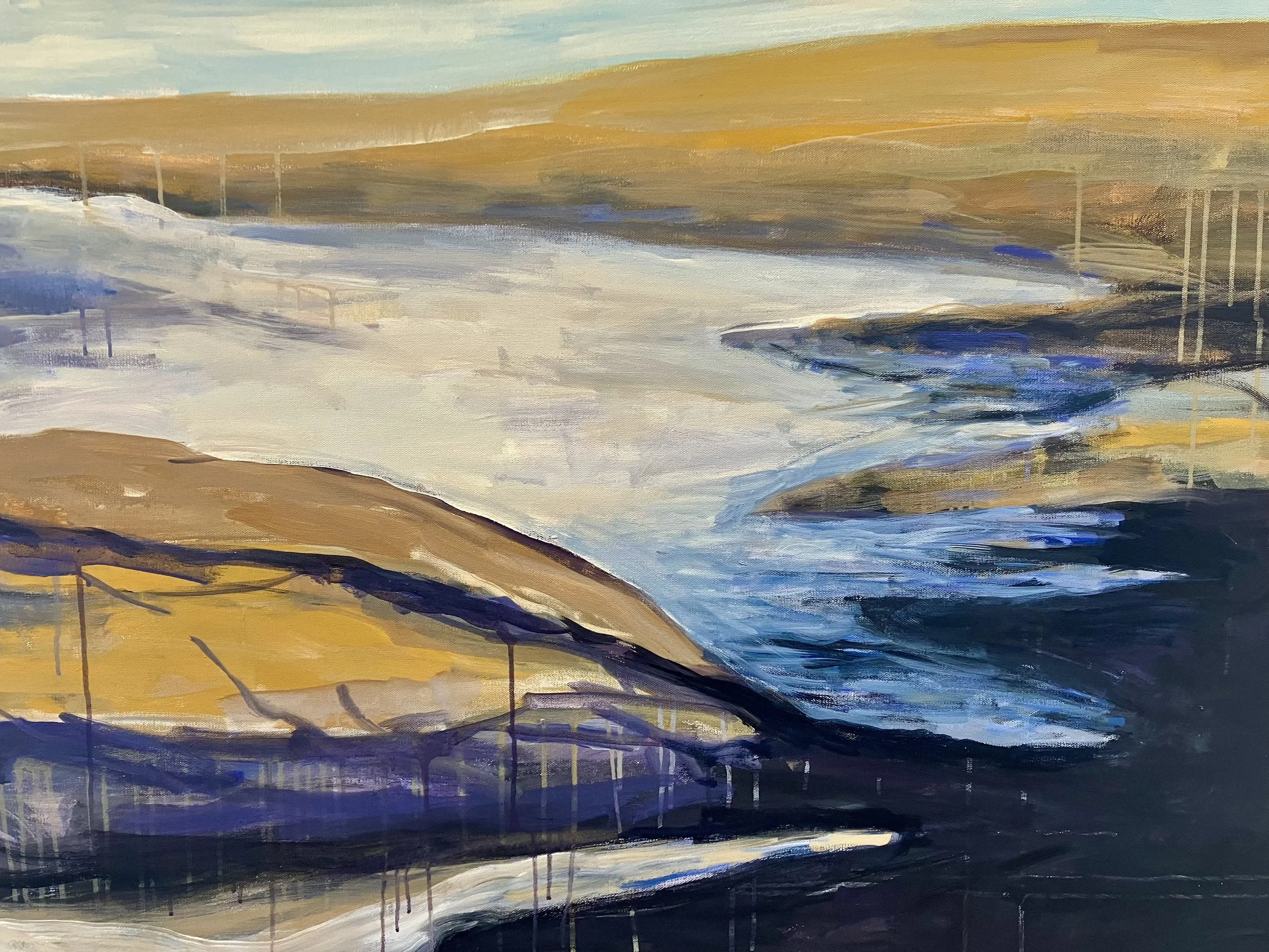 Bodega Head