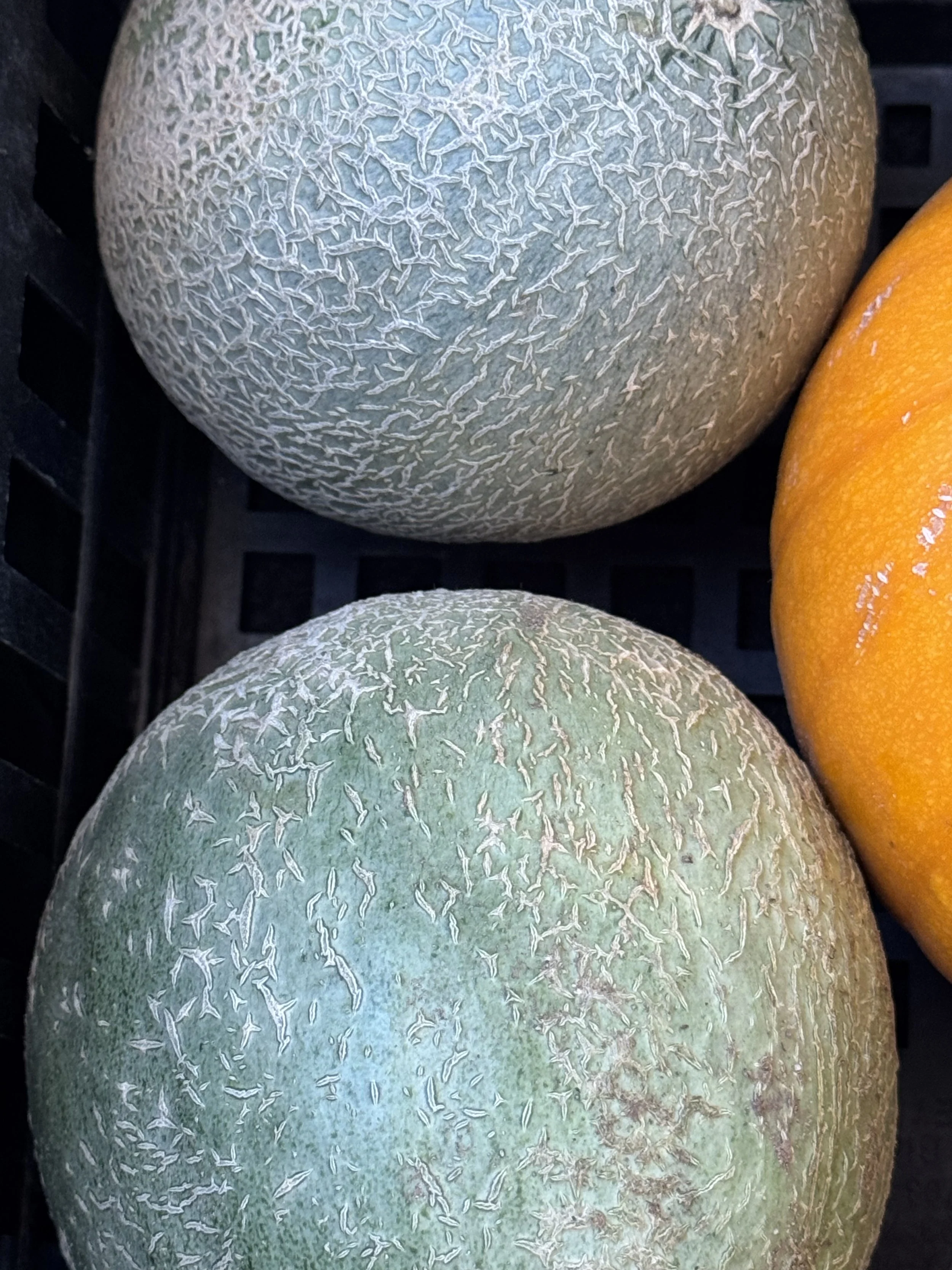 Example Produce Box Items