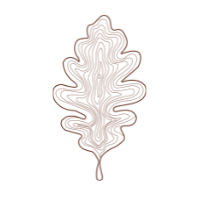 Stylized illustration of a leaf with intricate vein details.