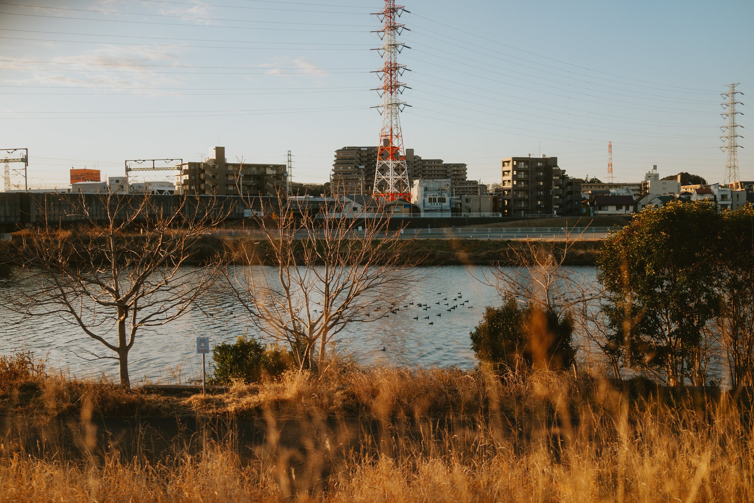 「いいじゃん」
