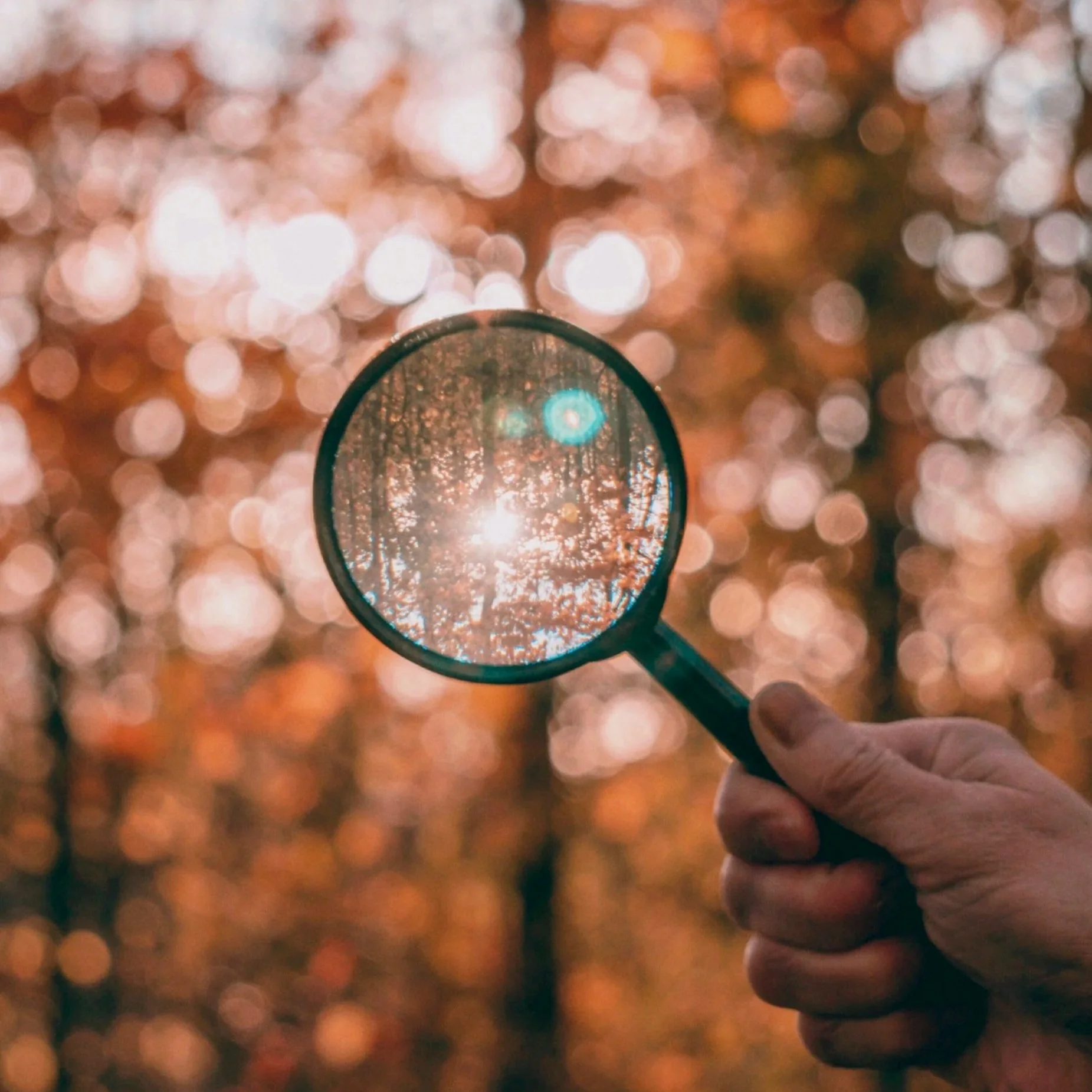 From Clues to Context: Investigation Methods, Digital Evidence, and the Role of RFA