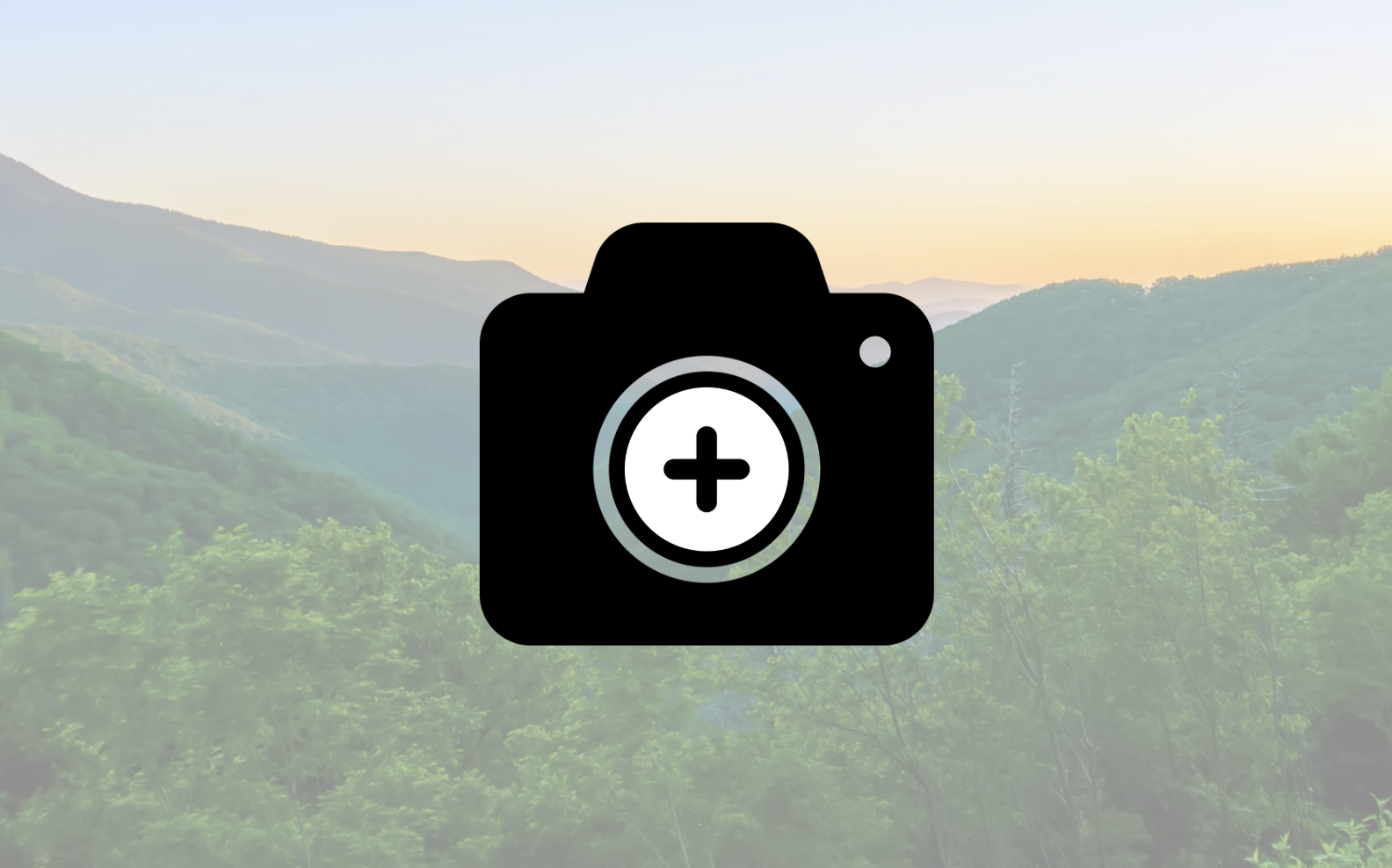 Screenshot 2026-02-19 at 11.47.49 AM.png