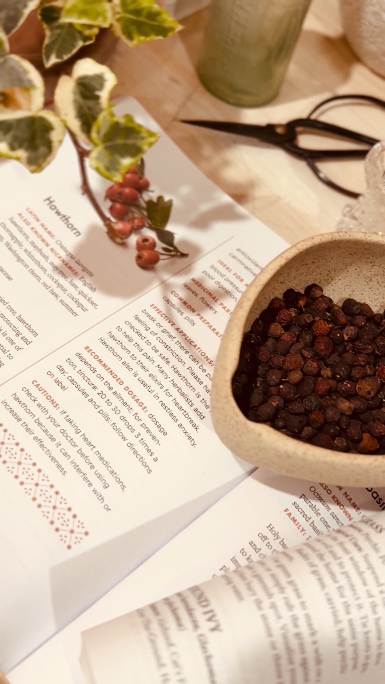 FIVE WAYS HAWTHORN HEALS