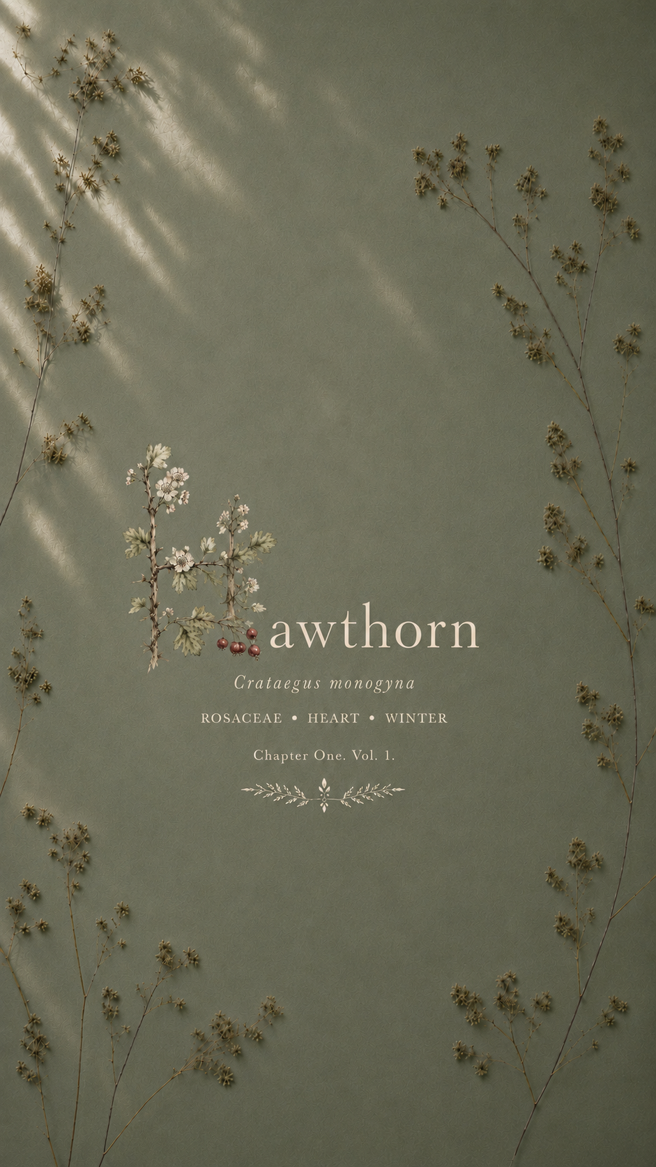 Illustration of dried ailanthus plant on a muted green background, with elegant text reading 'awthorn Crataegus monogyna, Rosaceae, Heart, Winter, Chapter One. Vol. 1' with decorative elements.