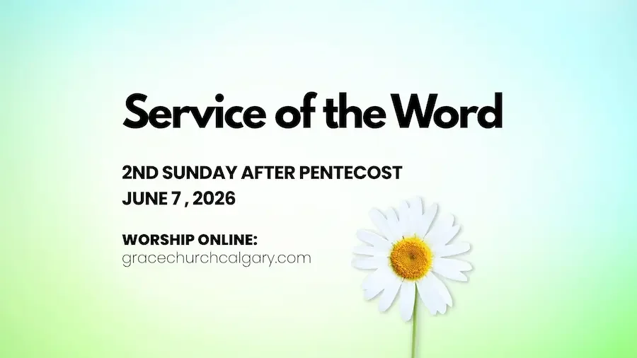 Graphic of Bulletin cover with text "Service of the Word" ,"2nd Sunday after Pentecost" for Sunday, June 7 on graduated blue to green background with daisy.