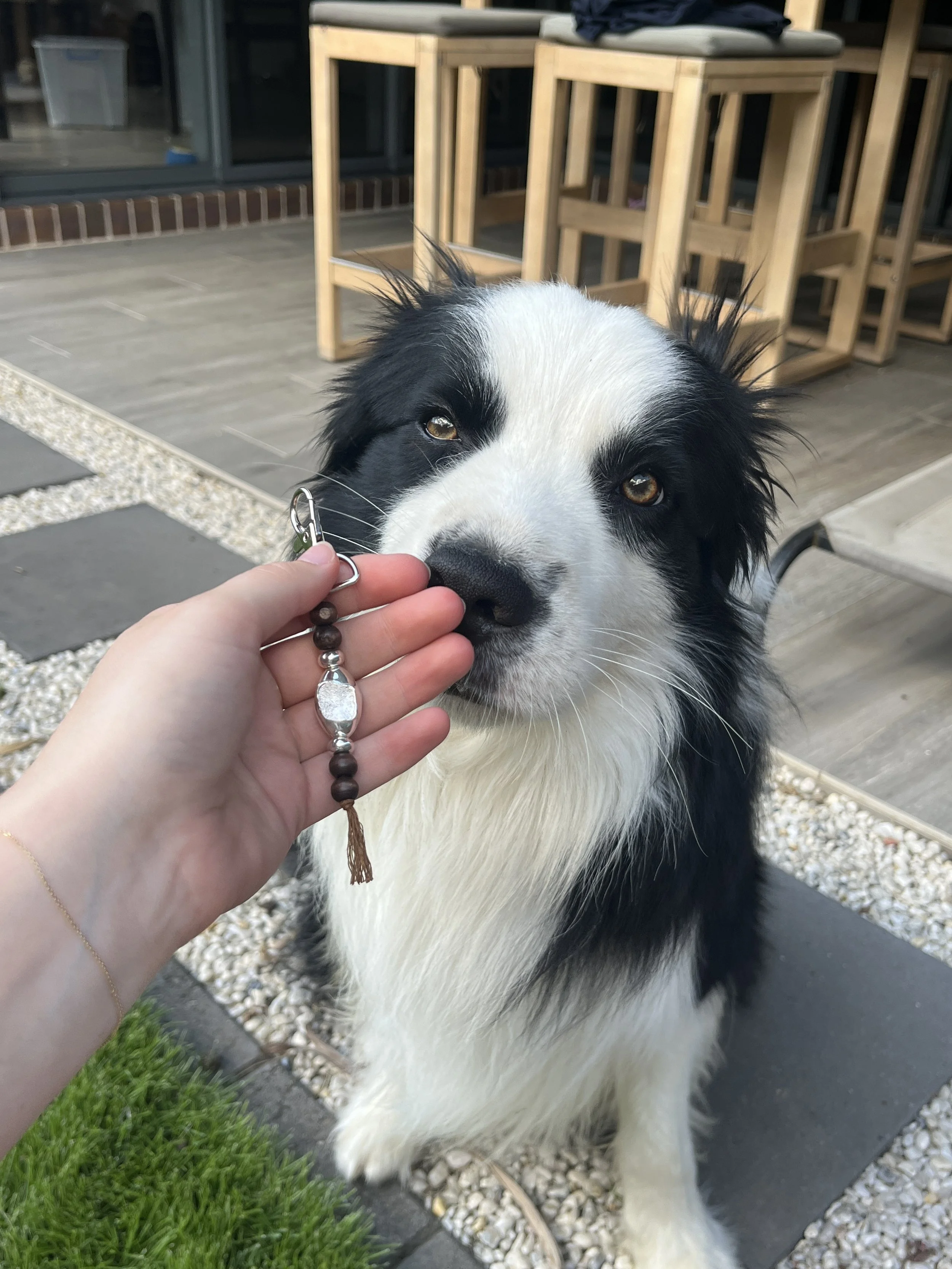 Dog & thumb print keychain 925 Silver