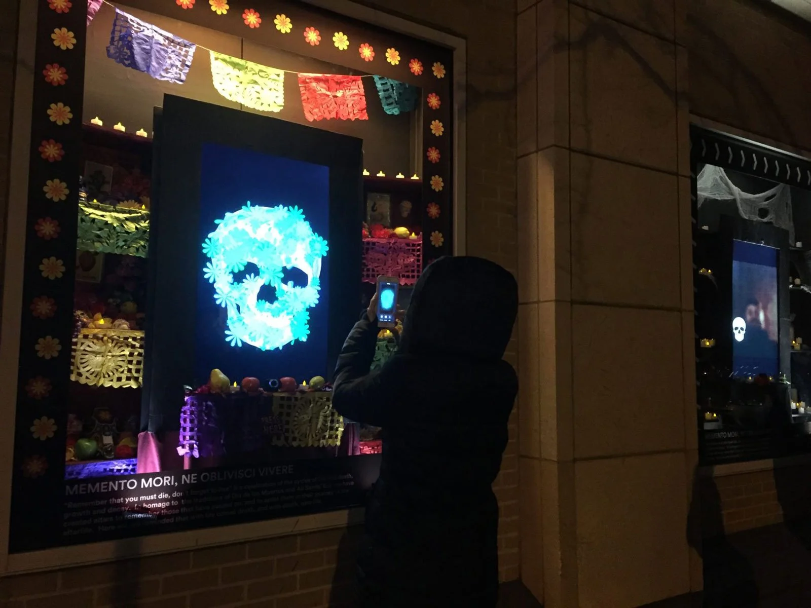 flowerWindow.jpg