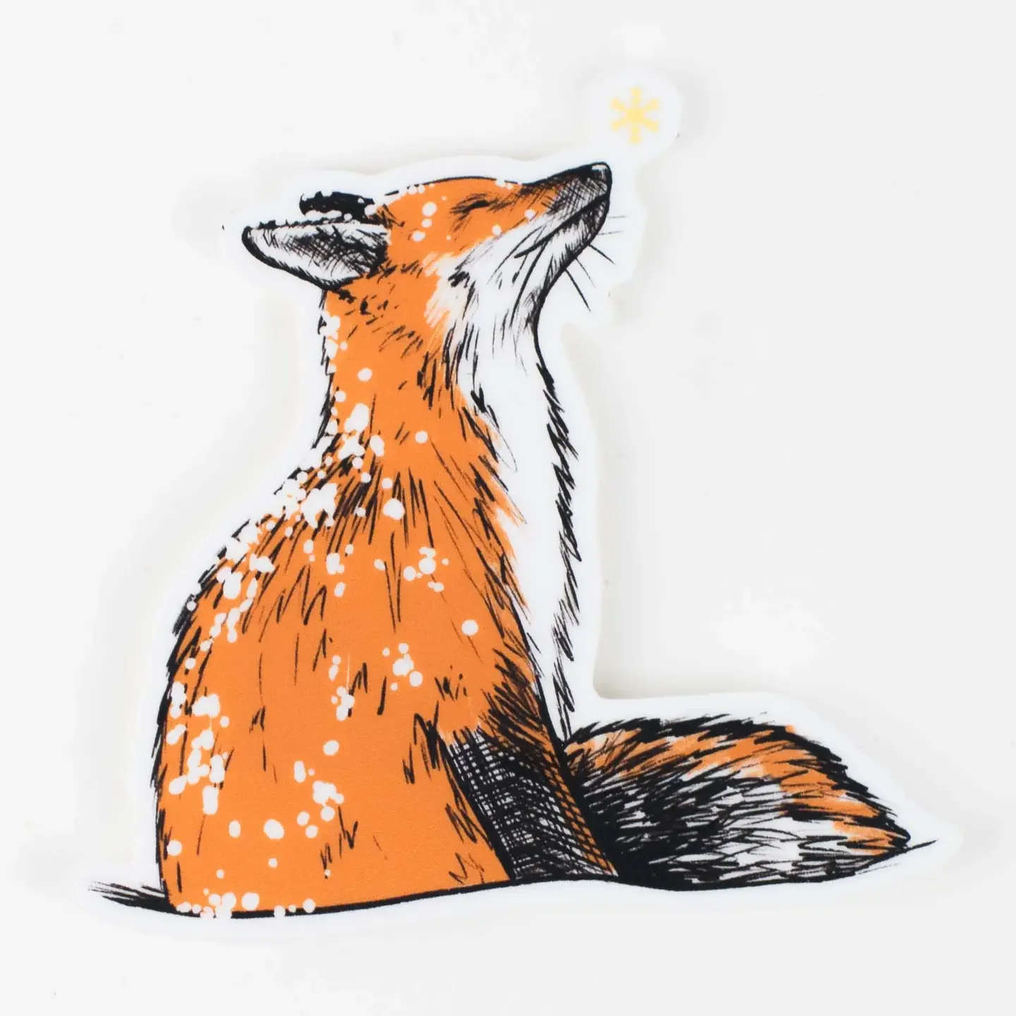 fox.webp