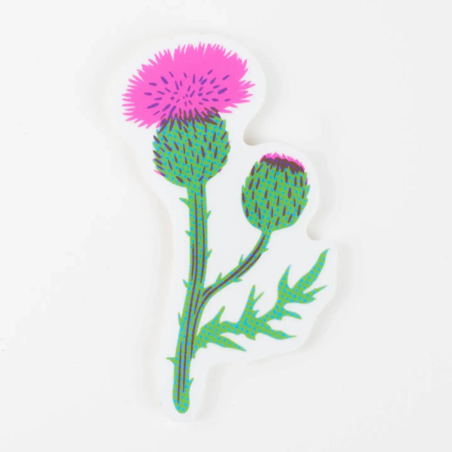 thistle.webp