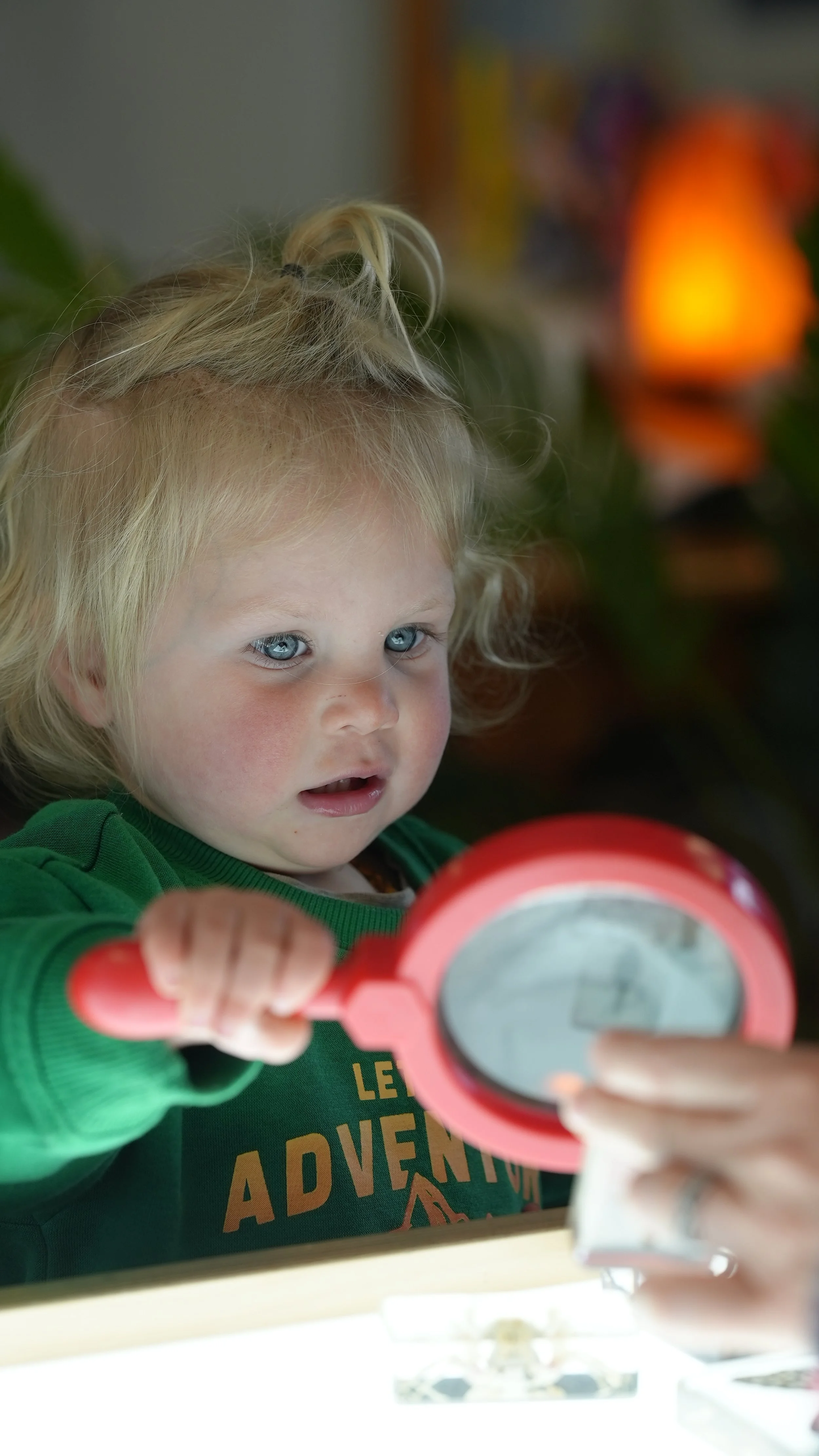 aDSC09388 - Copy.jpeg