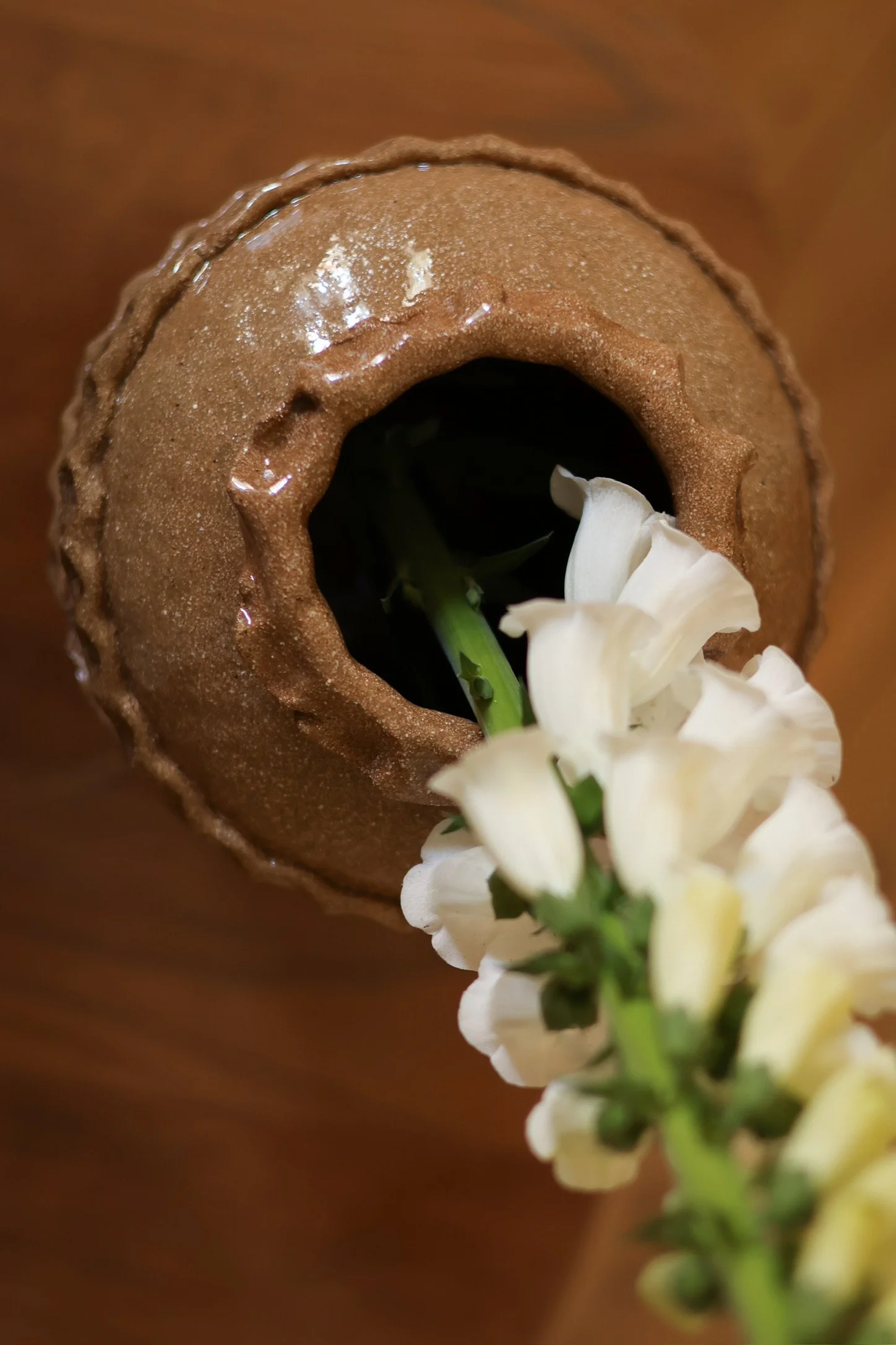 aerial with white flower.jpeg