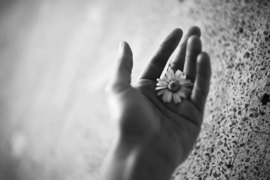 Hand holding a flower representing calm during benzodiazepine detox and recovery