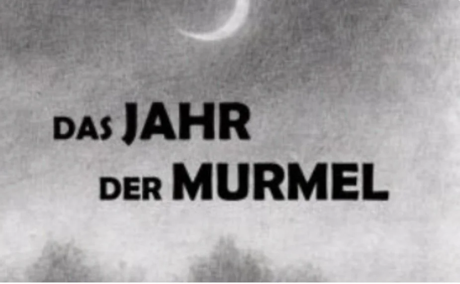 Das Jahr der Murmel - Lesung mit Jürgen Dick